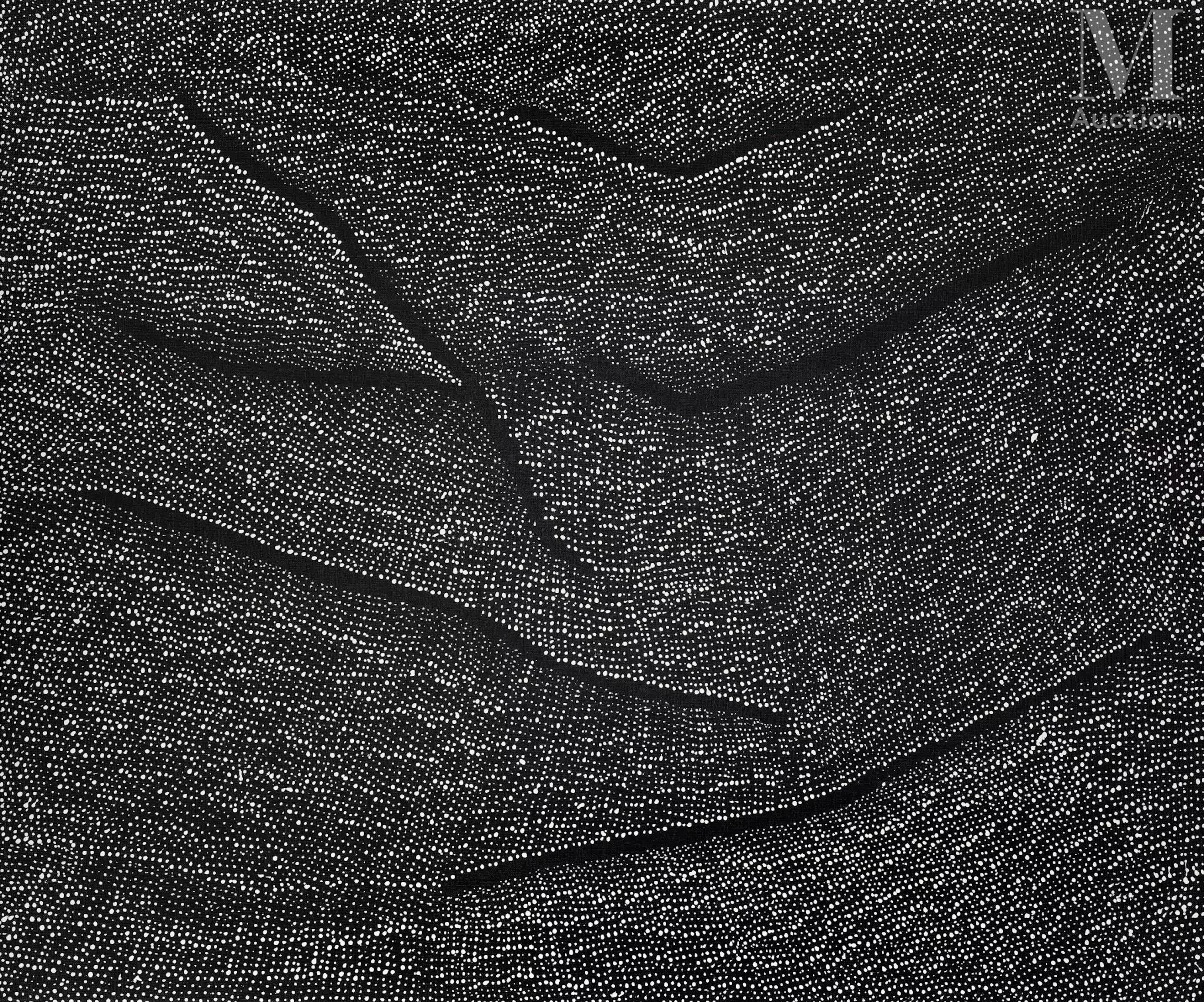 Lilly Kelly Napangardi (1948 - ) Tali-Sandhill Country, 2015
