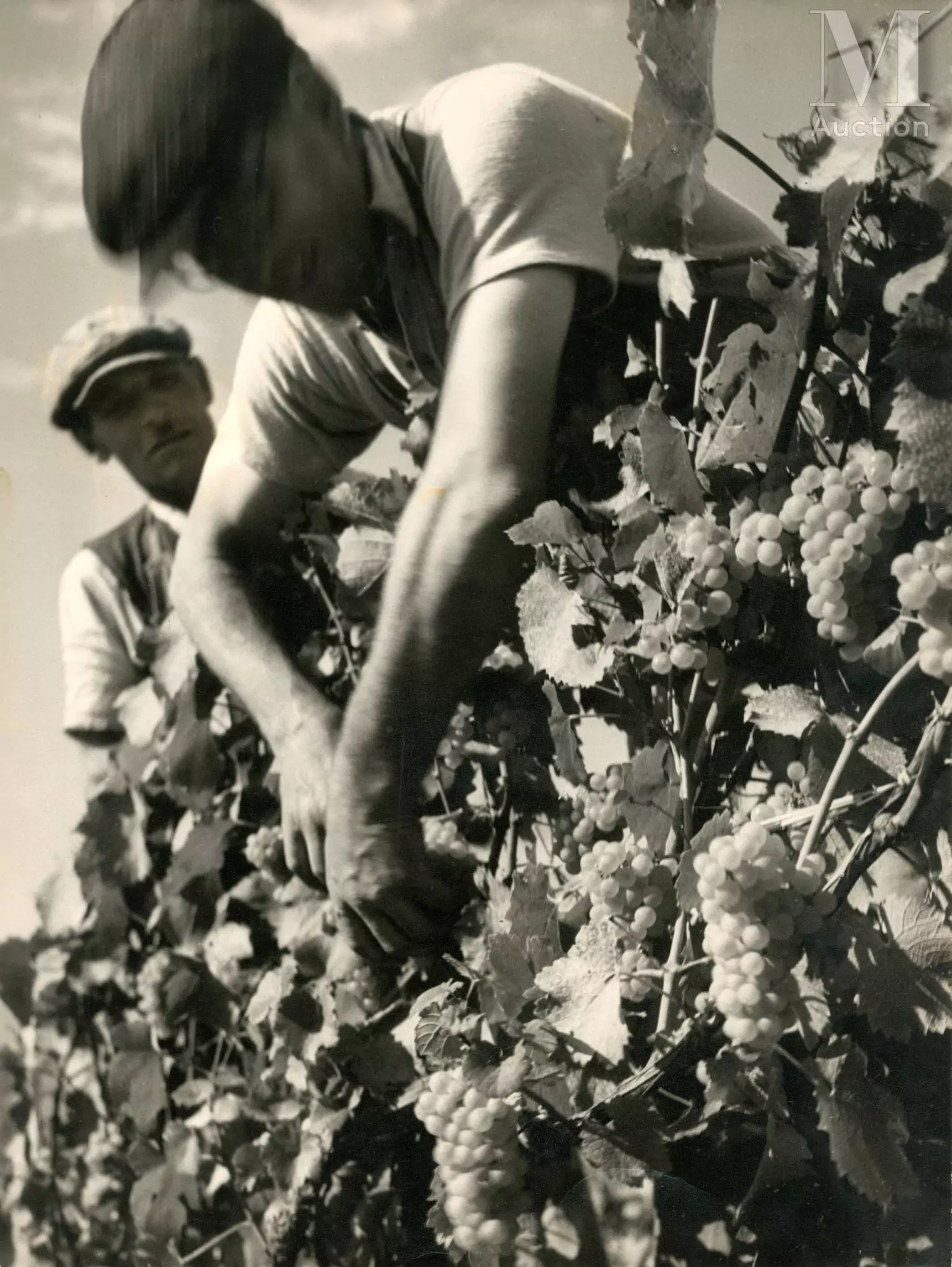 René ZUBER (1902-1979)