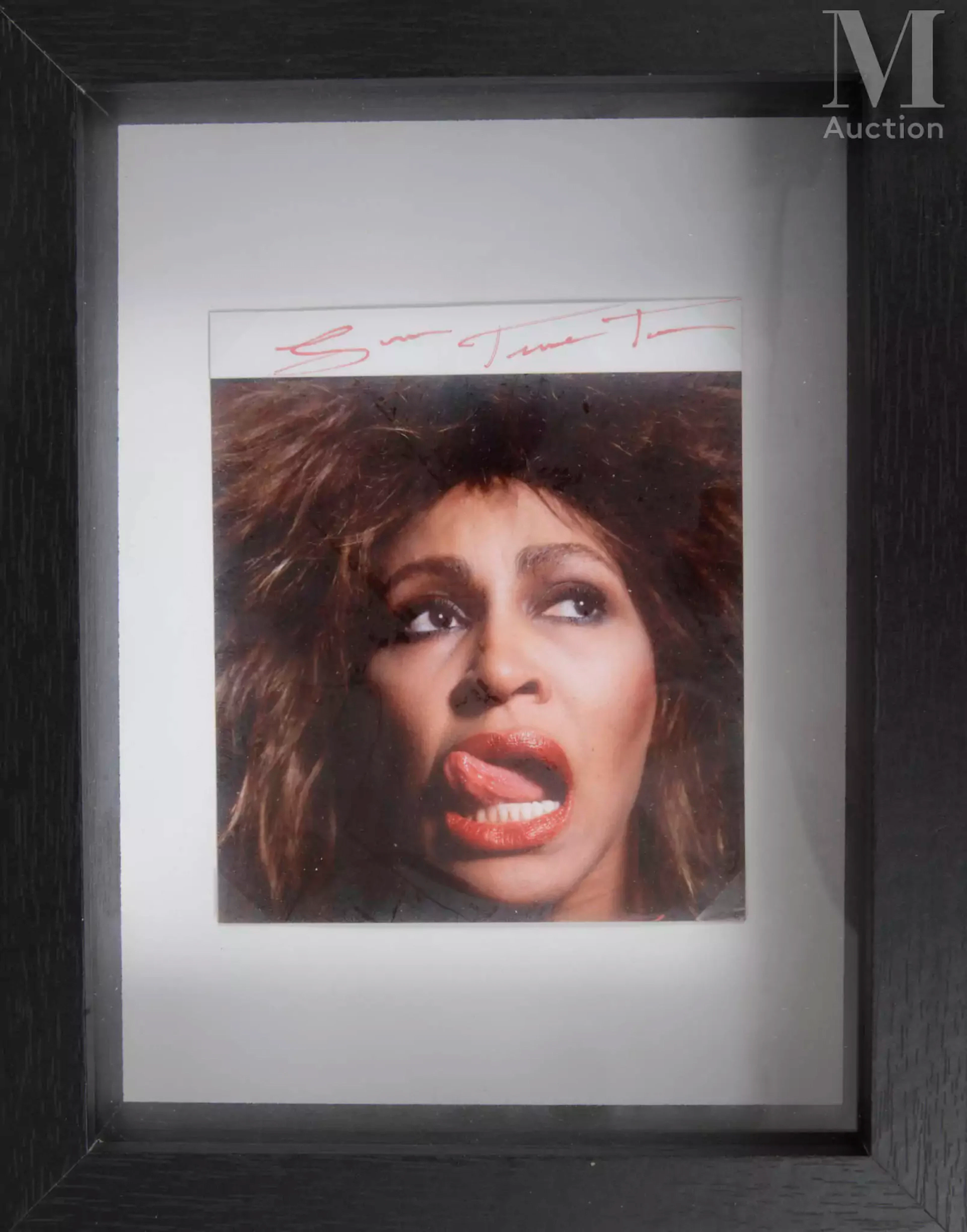TINA TURNER
