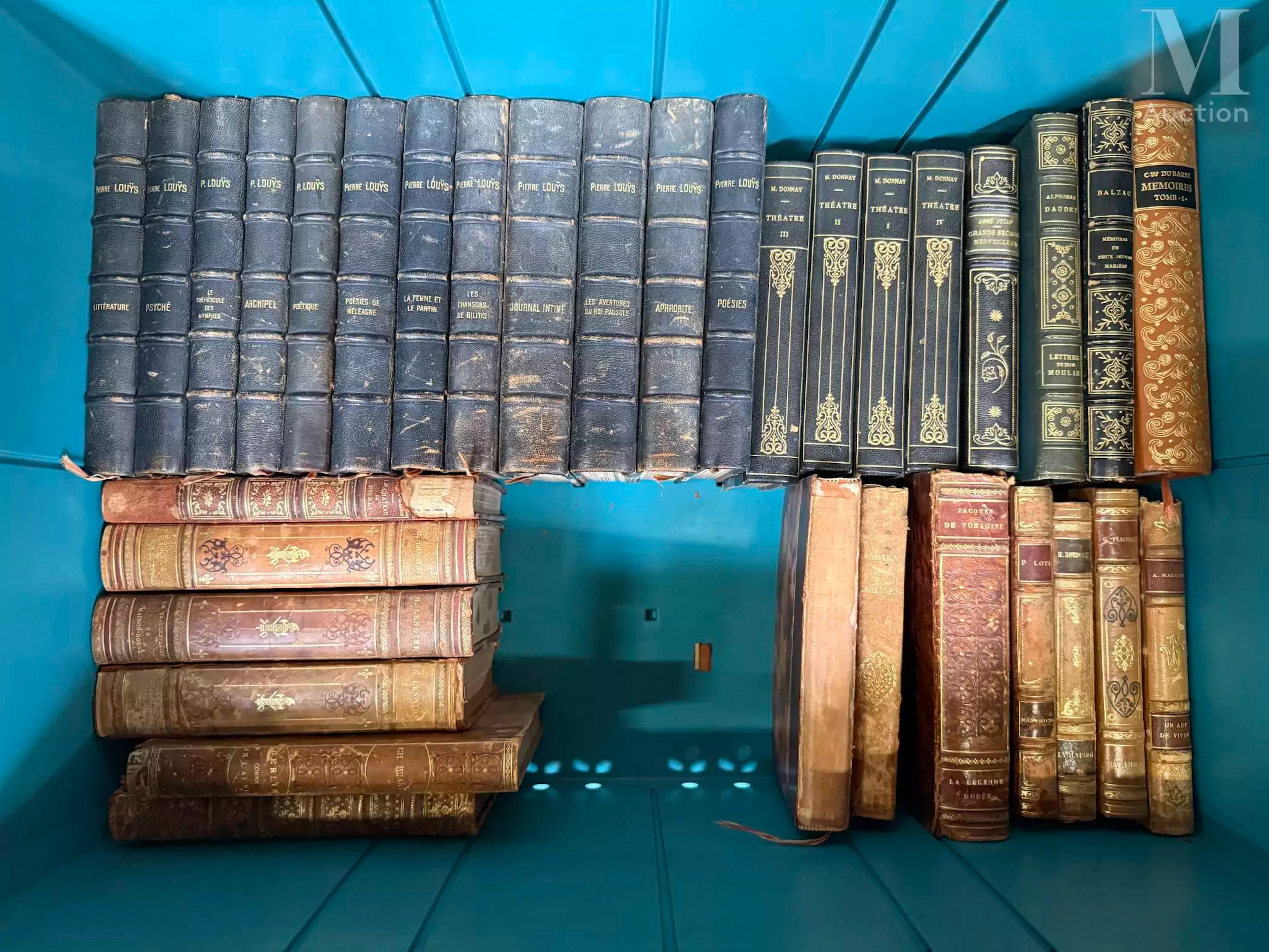 MANNETTE à thématique livres et bibliophilie: