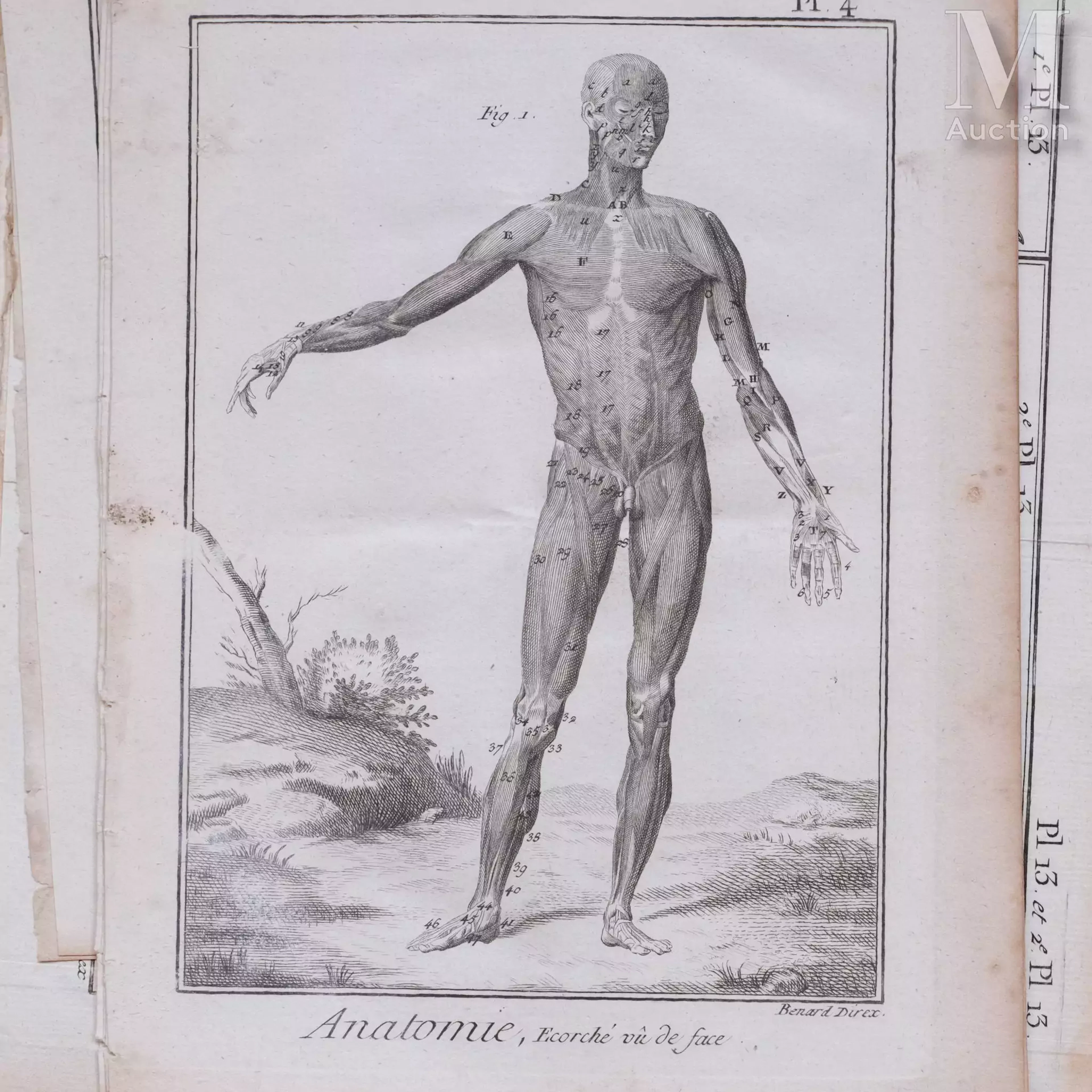 Ensemble de quatre-vingt gravures ou planches provenant de l'Encyclopédie