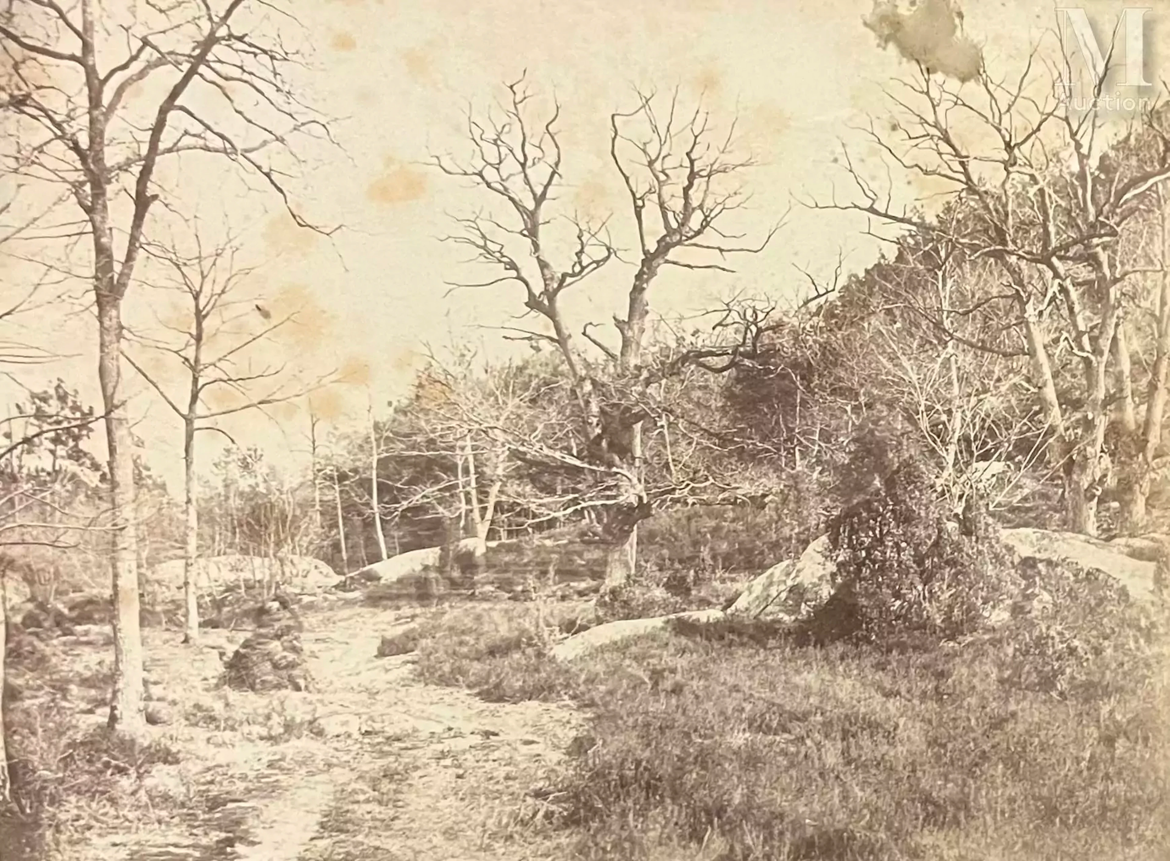 Ecole de Barbizon Chemin de Marlotte - Bas Samois