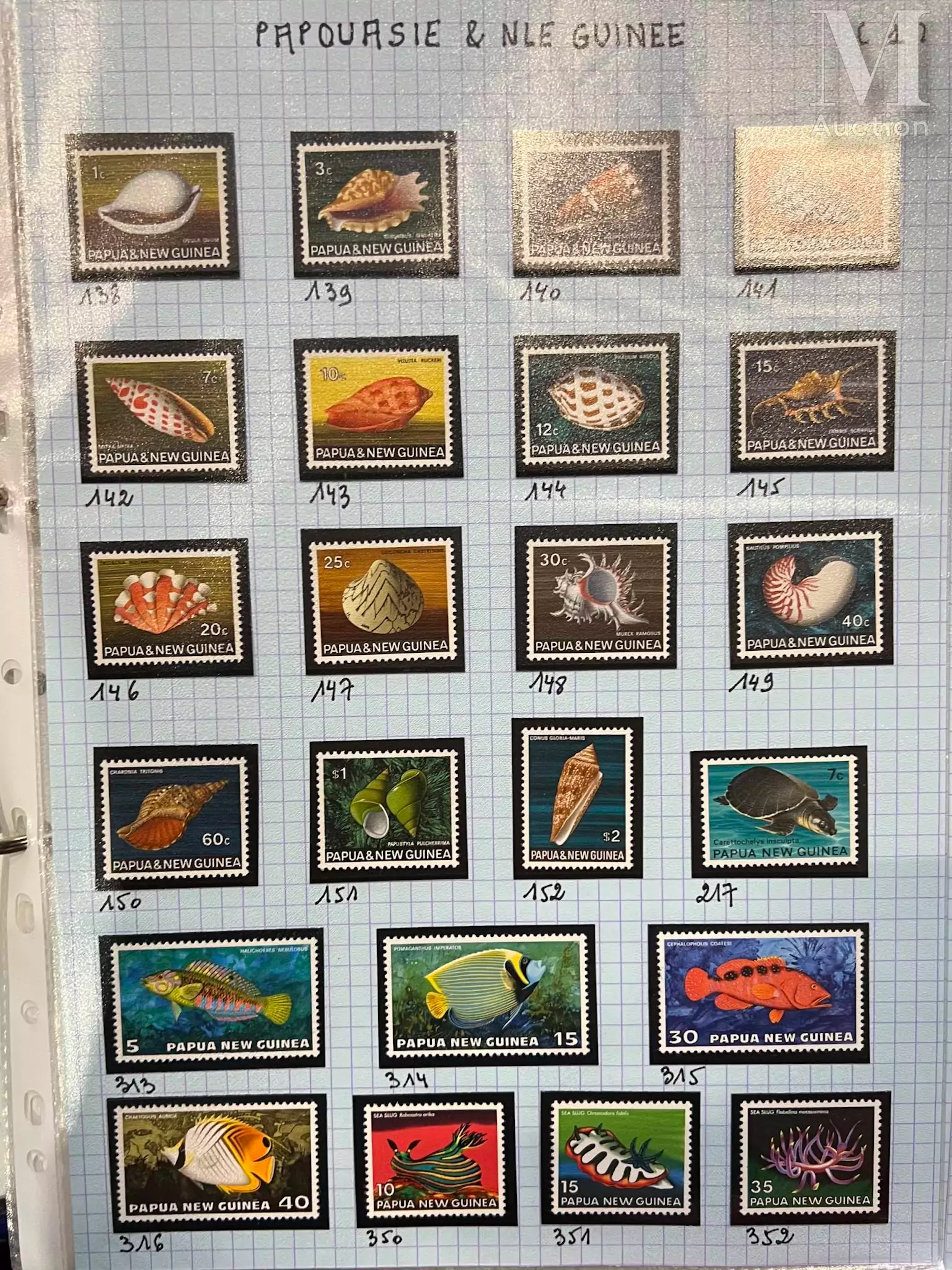 Thématique animaux (oiseaux, mammifères, papillons, et vie marine)