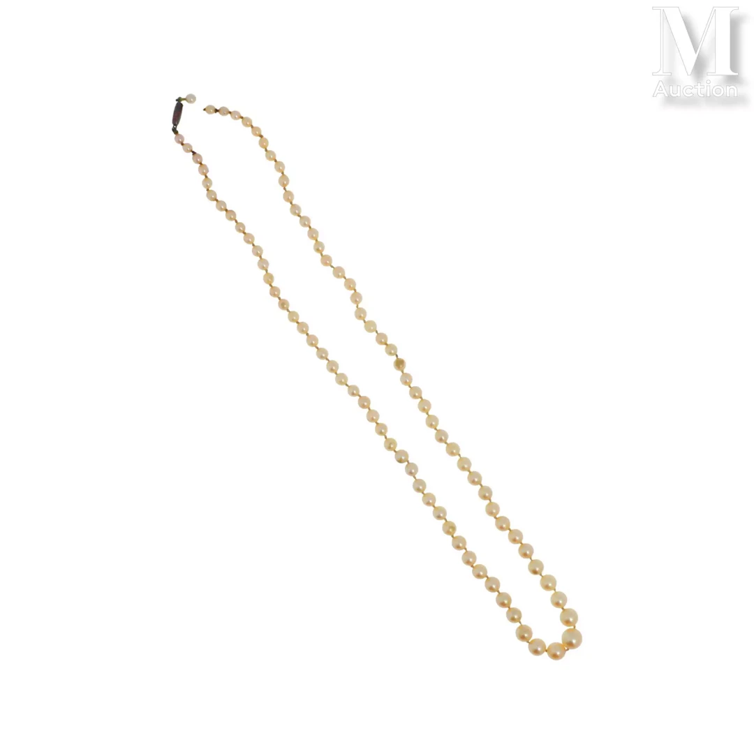 Collier de perles
