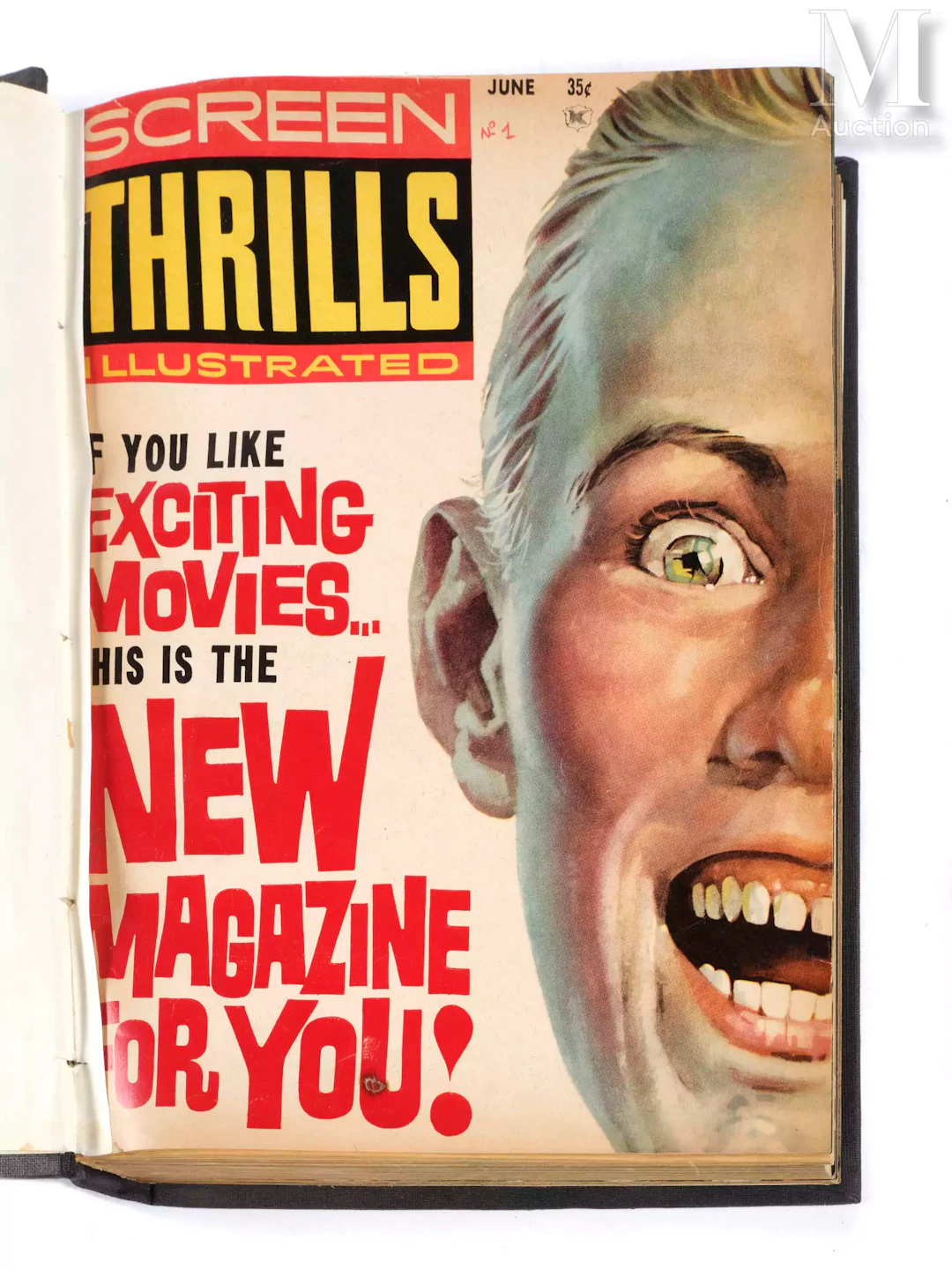SCREEN THRILLS ILLUSTRATED 10 numéros reliés du magazine USA