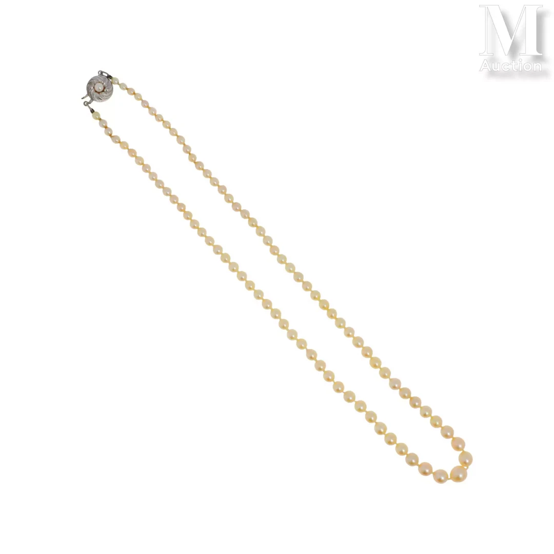 Collier de perles de culture