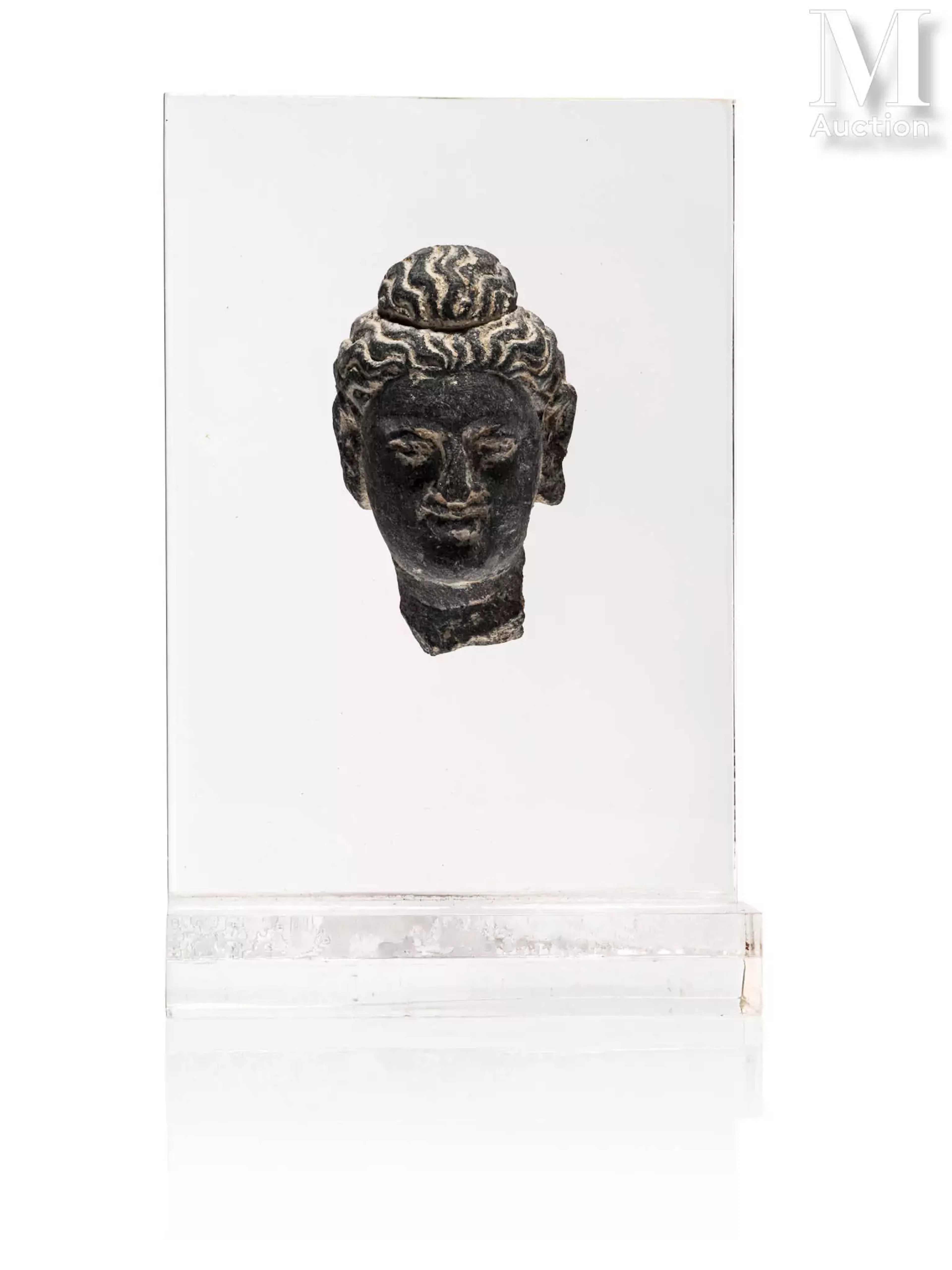 AFGHANISTAN, Ancienne région du Gandhara, IVe/V siècle Tête en schiste gris