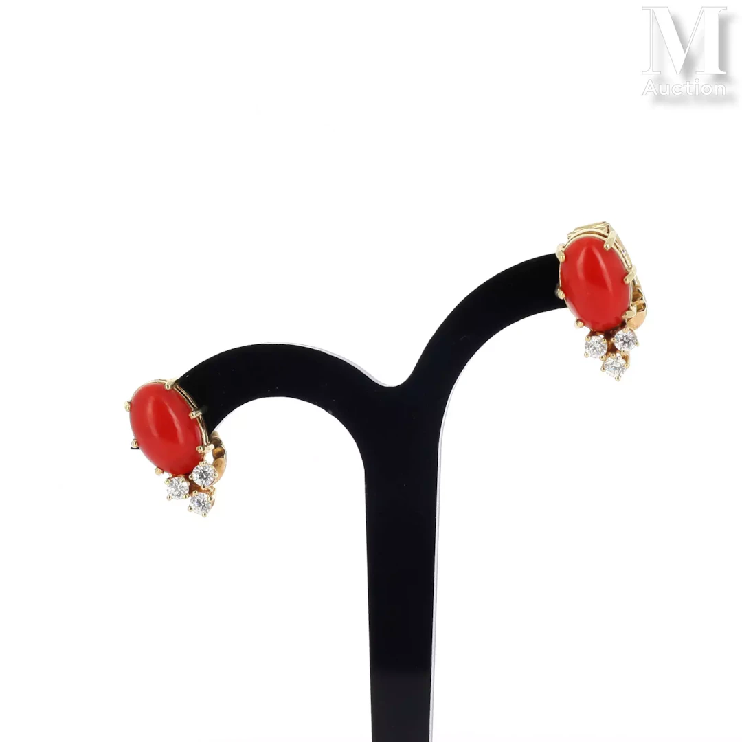 Paire de clips d'oreilles