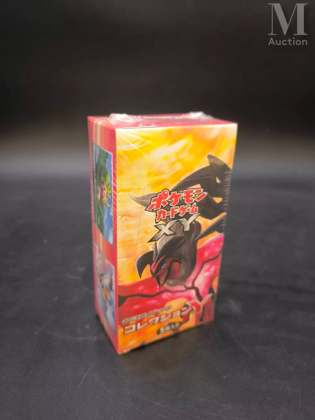 POKEMON Collection Y - XY1