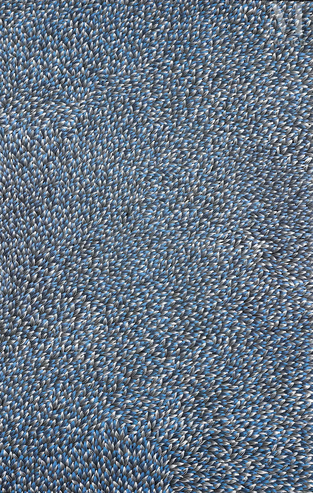 Abie Loy Kemarre (1972 - ) Bush Medicine Leaves, 2022