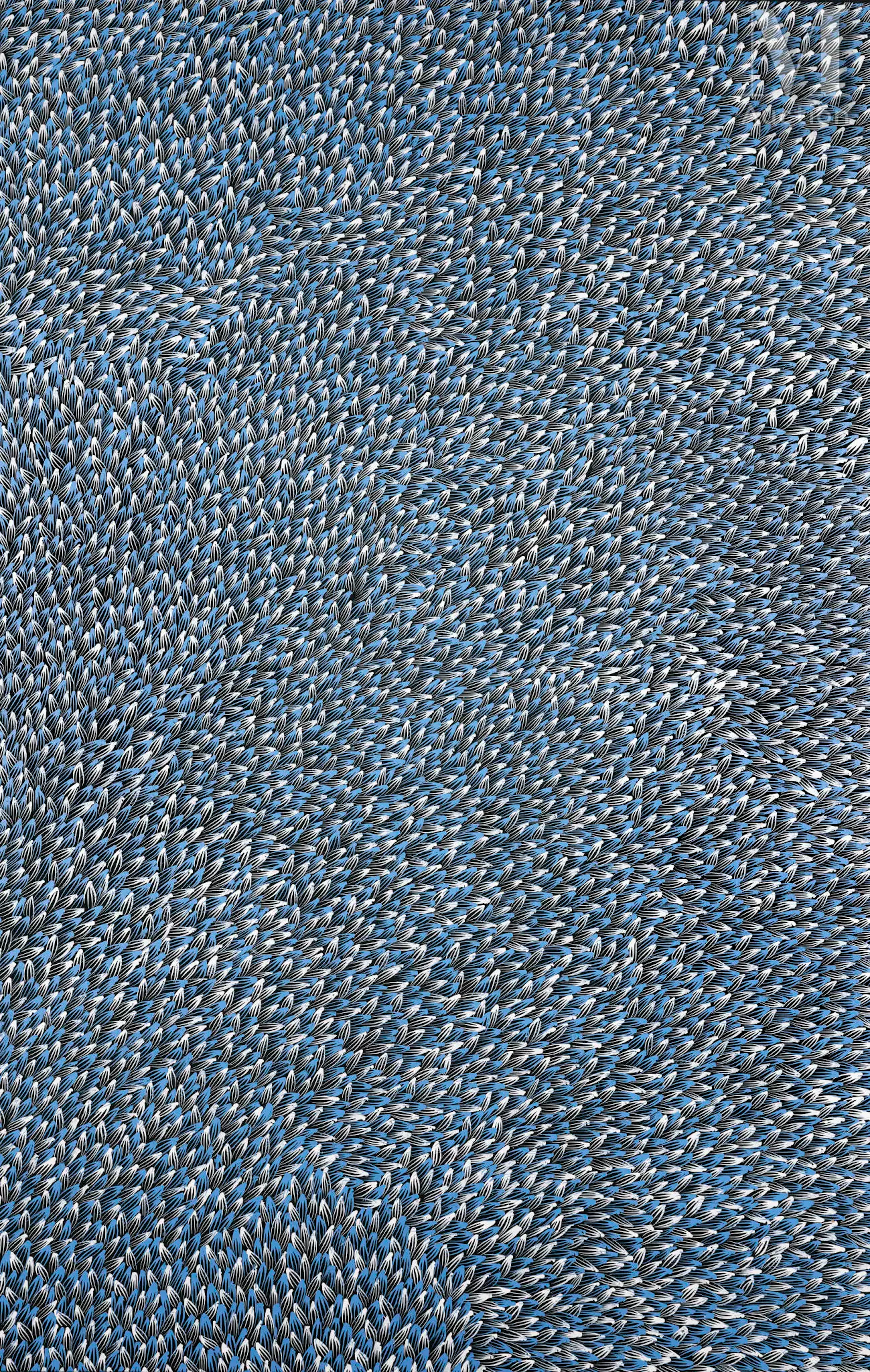 Abie Loy Kemarre (1972 - ) Bush Medicine Leaves, 2022