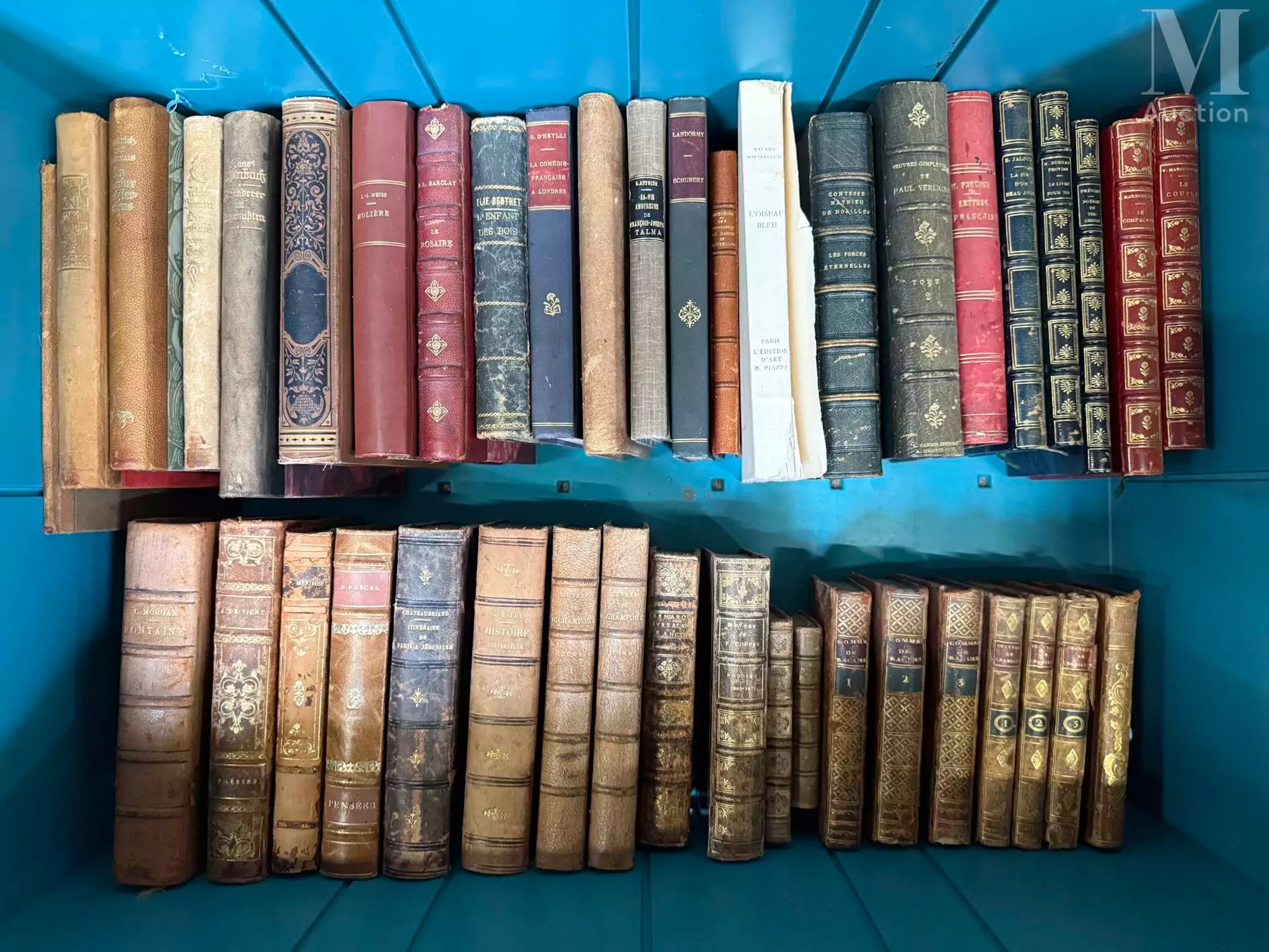 MANNETTE à thématique livres et bibliophilie: