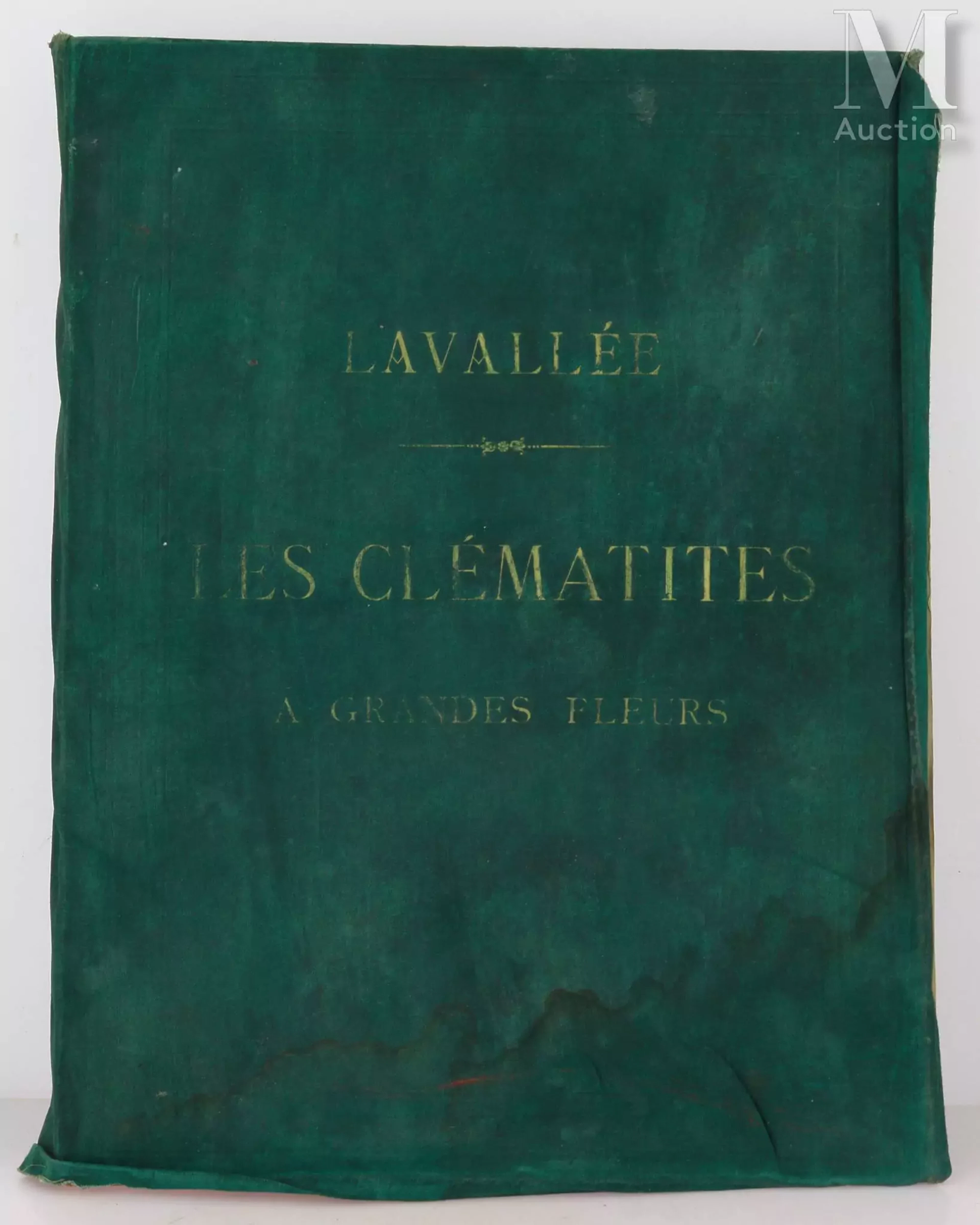 [BOTANIQUE]