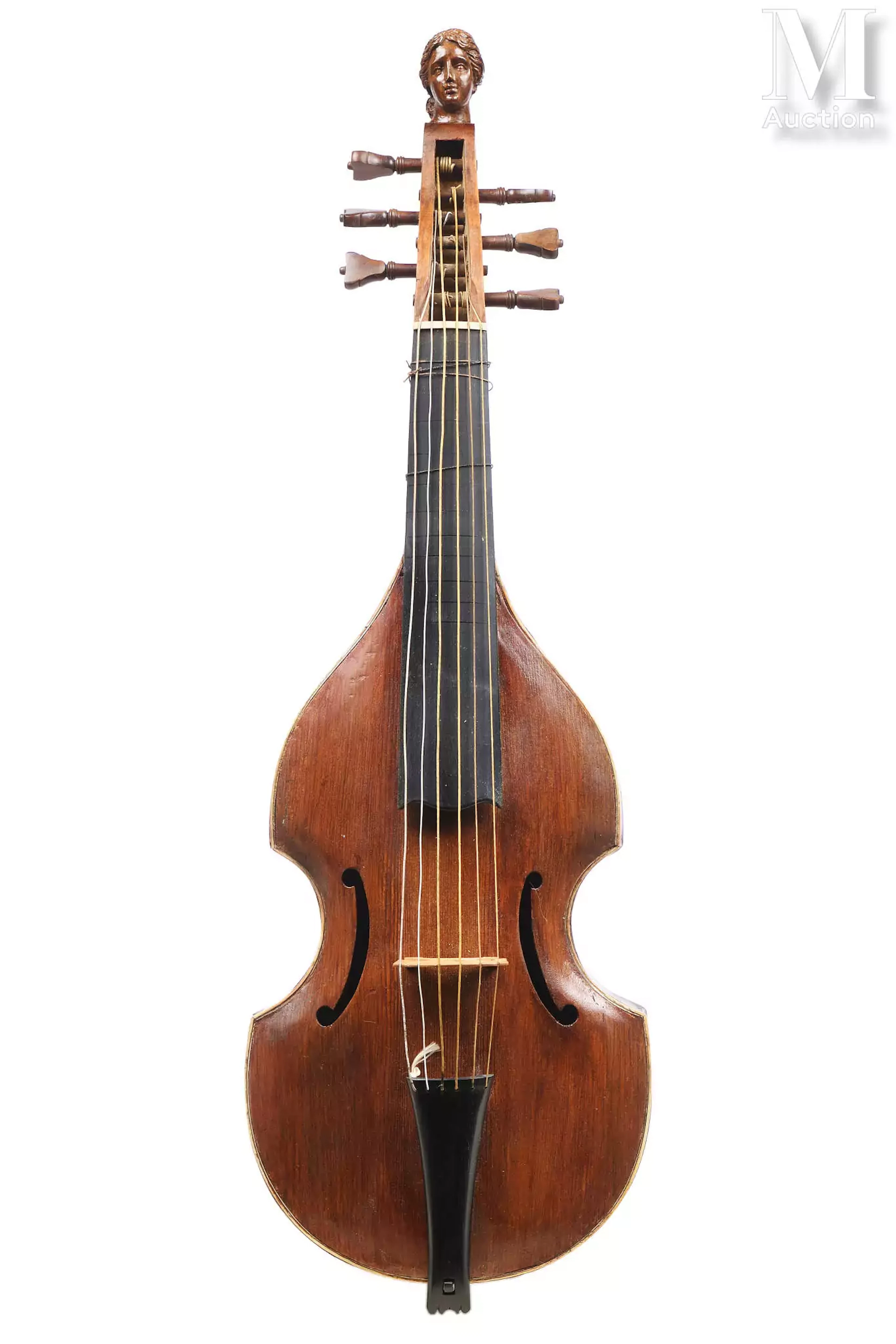 Viole