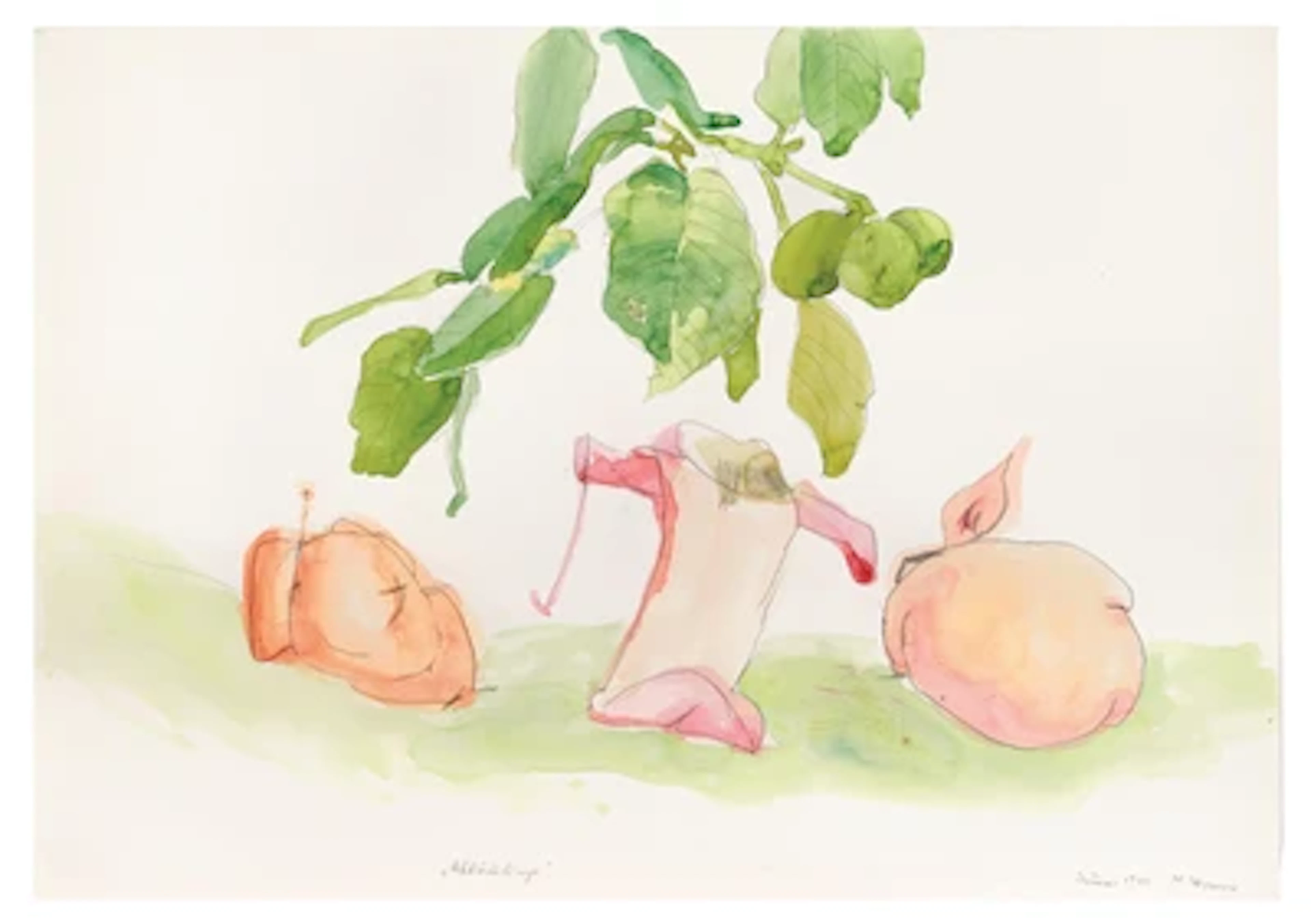 Maria Lassnig *
