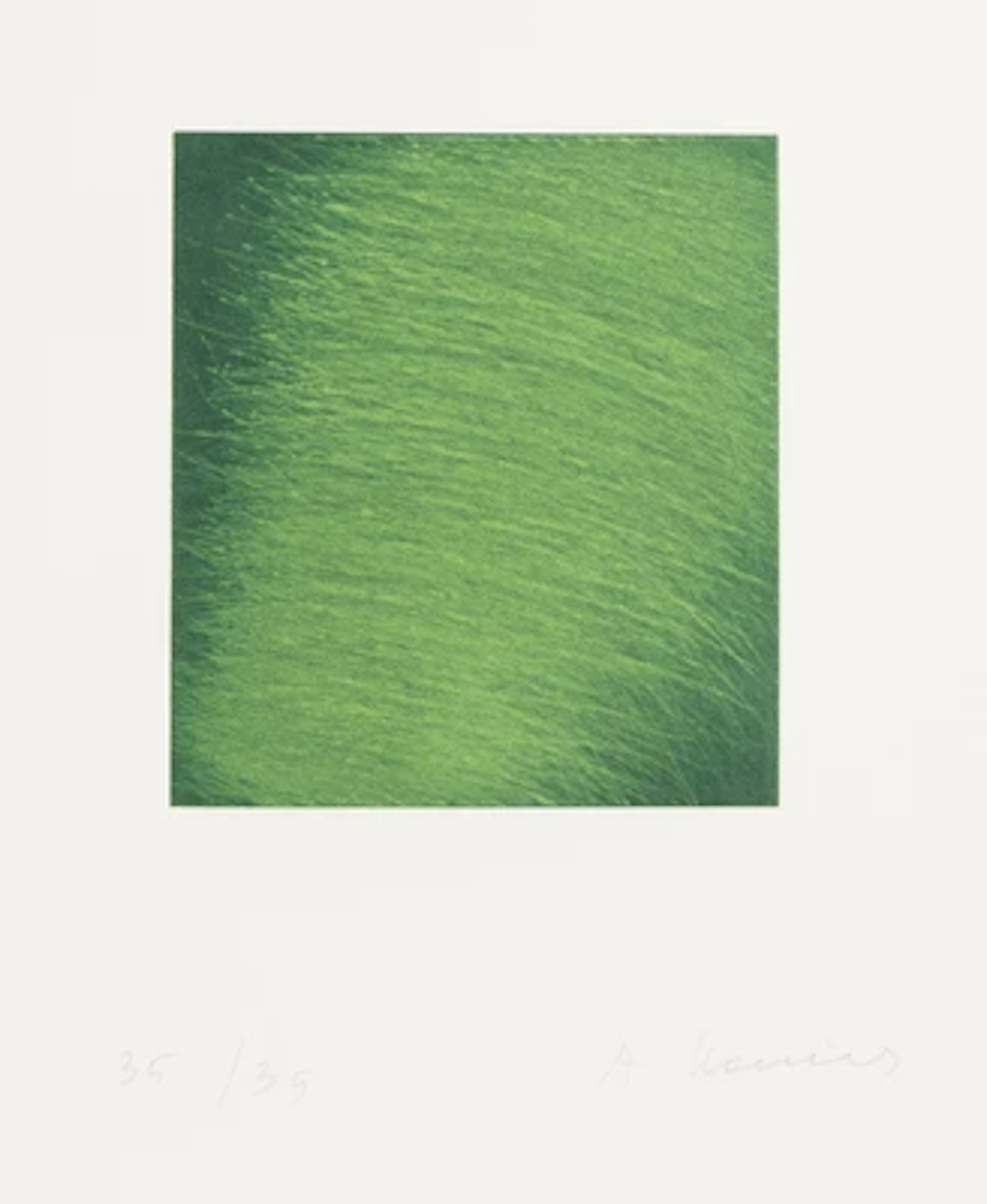 Arnulf Rainer *
