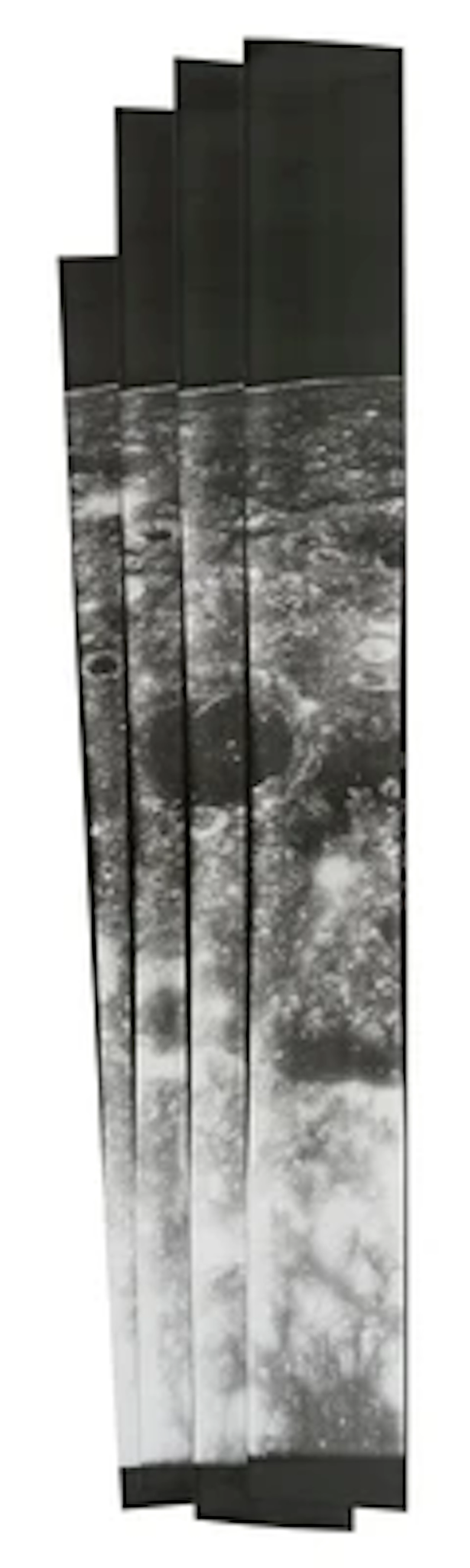 NASA (Apollo XVII)
