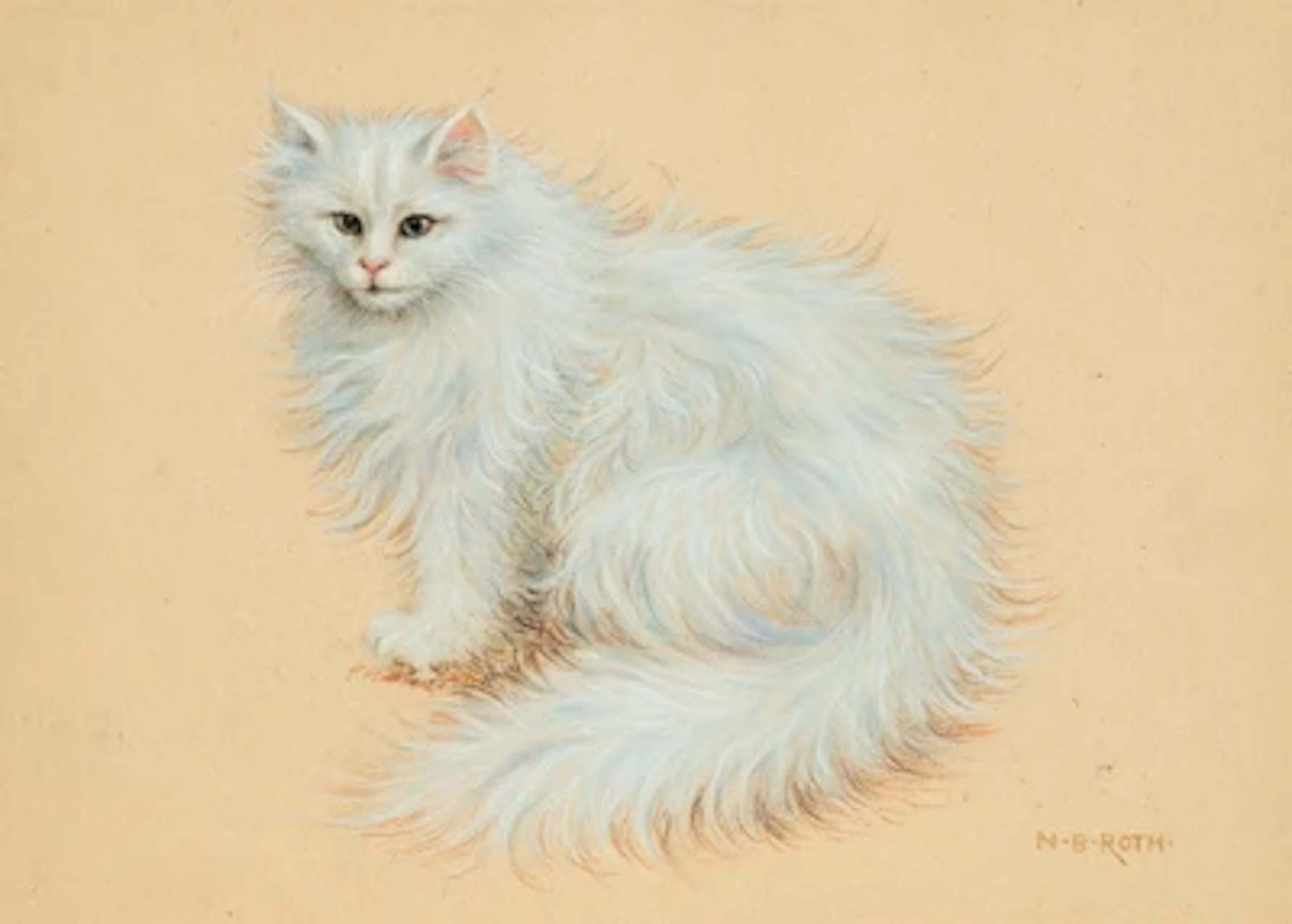 Norbertine Bresslern-Roth *