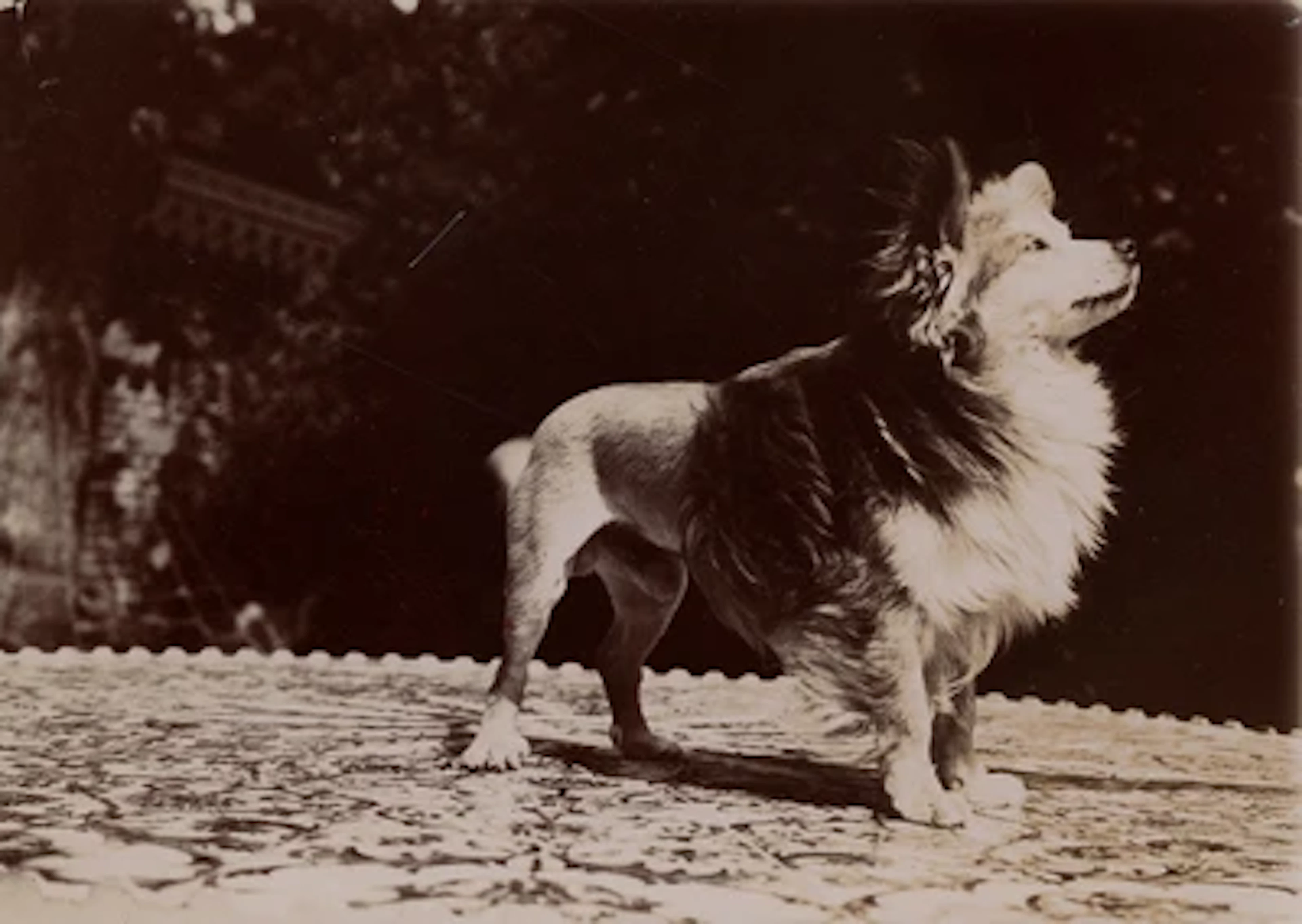 Emile Zola