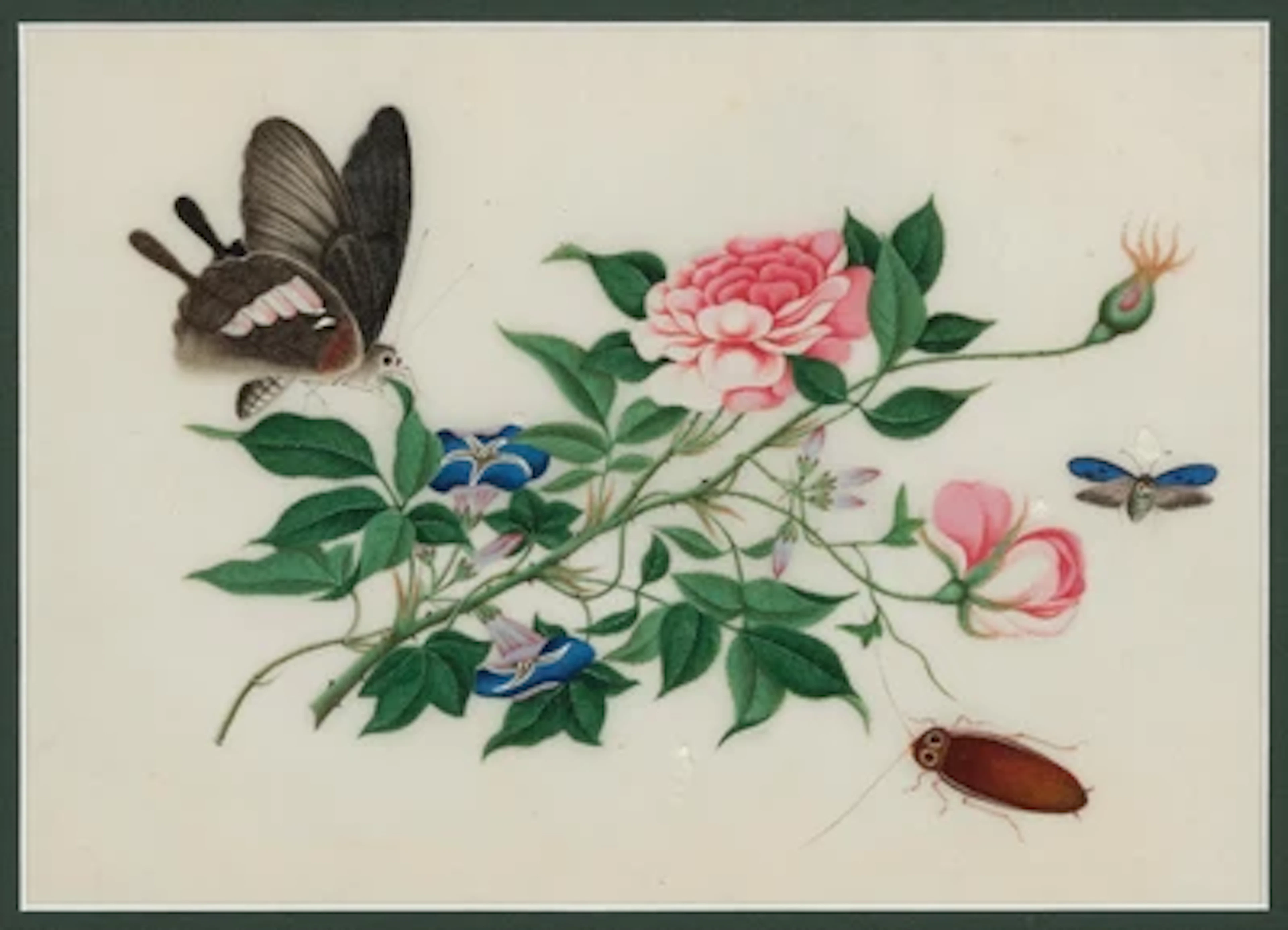China, 19th/20th Century, "A Butterfly, a Beetle and Roses