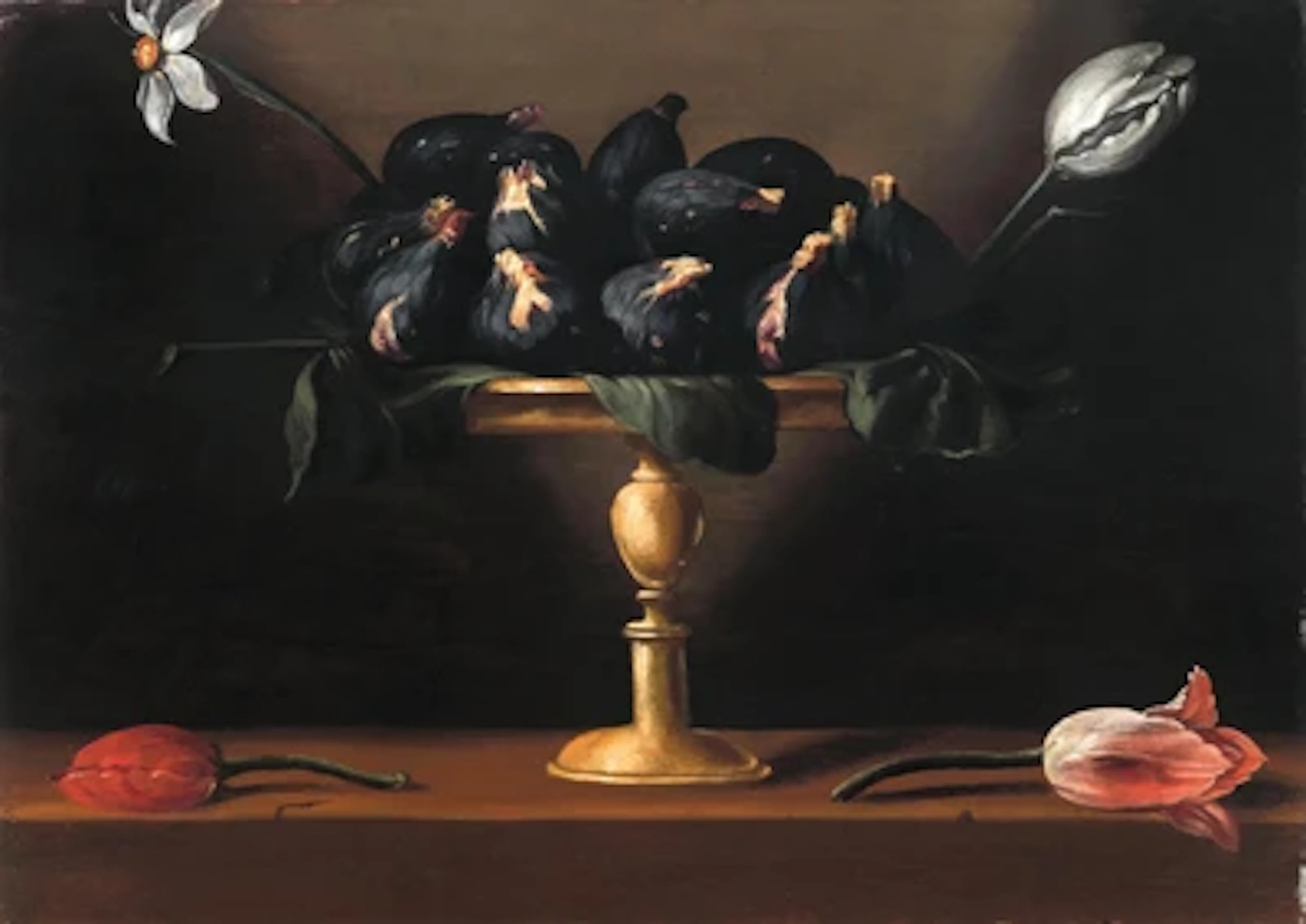 Orsola Maddalena Caccia