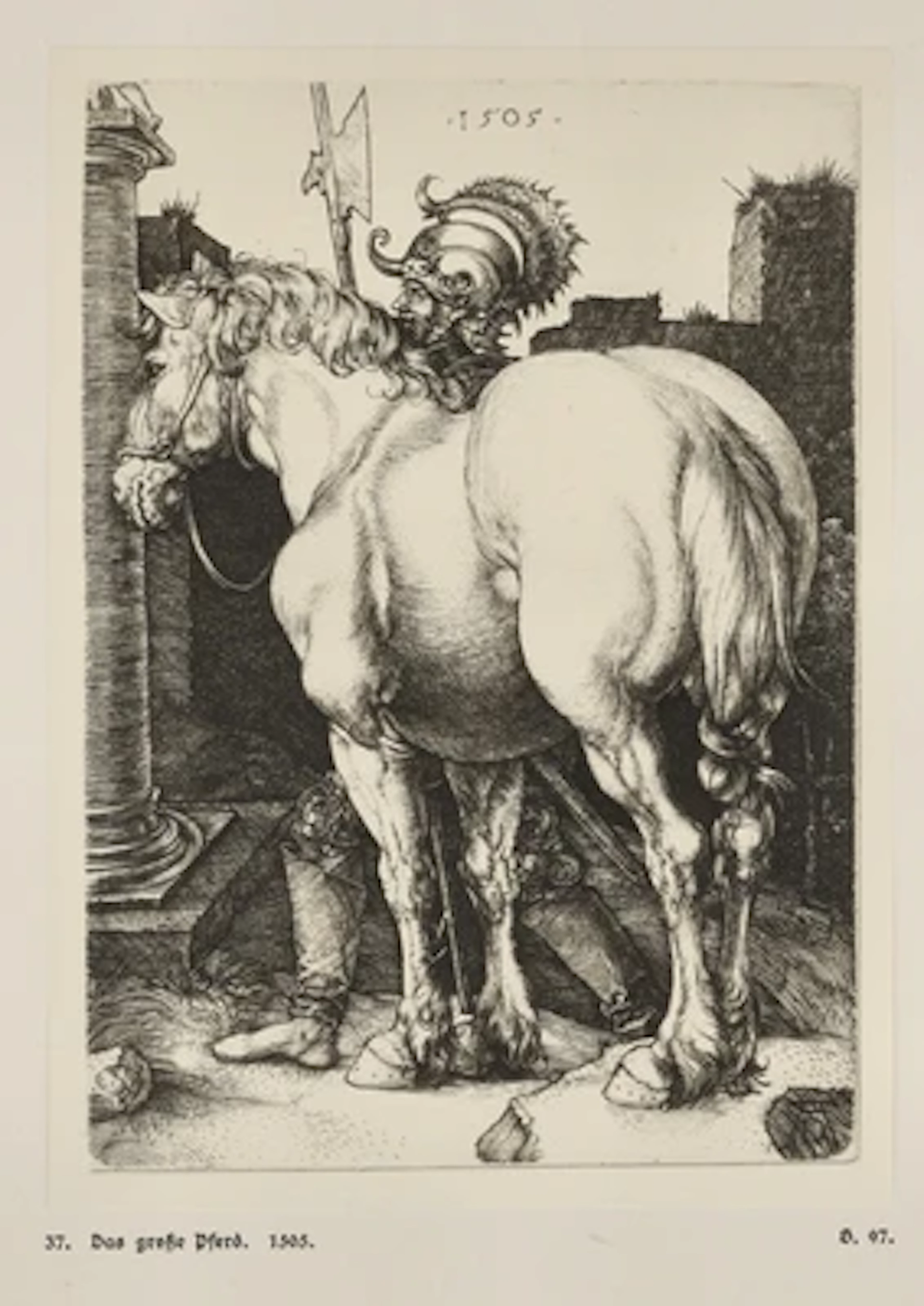 ALBRECHT DÜRER.