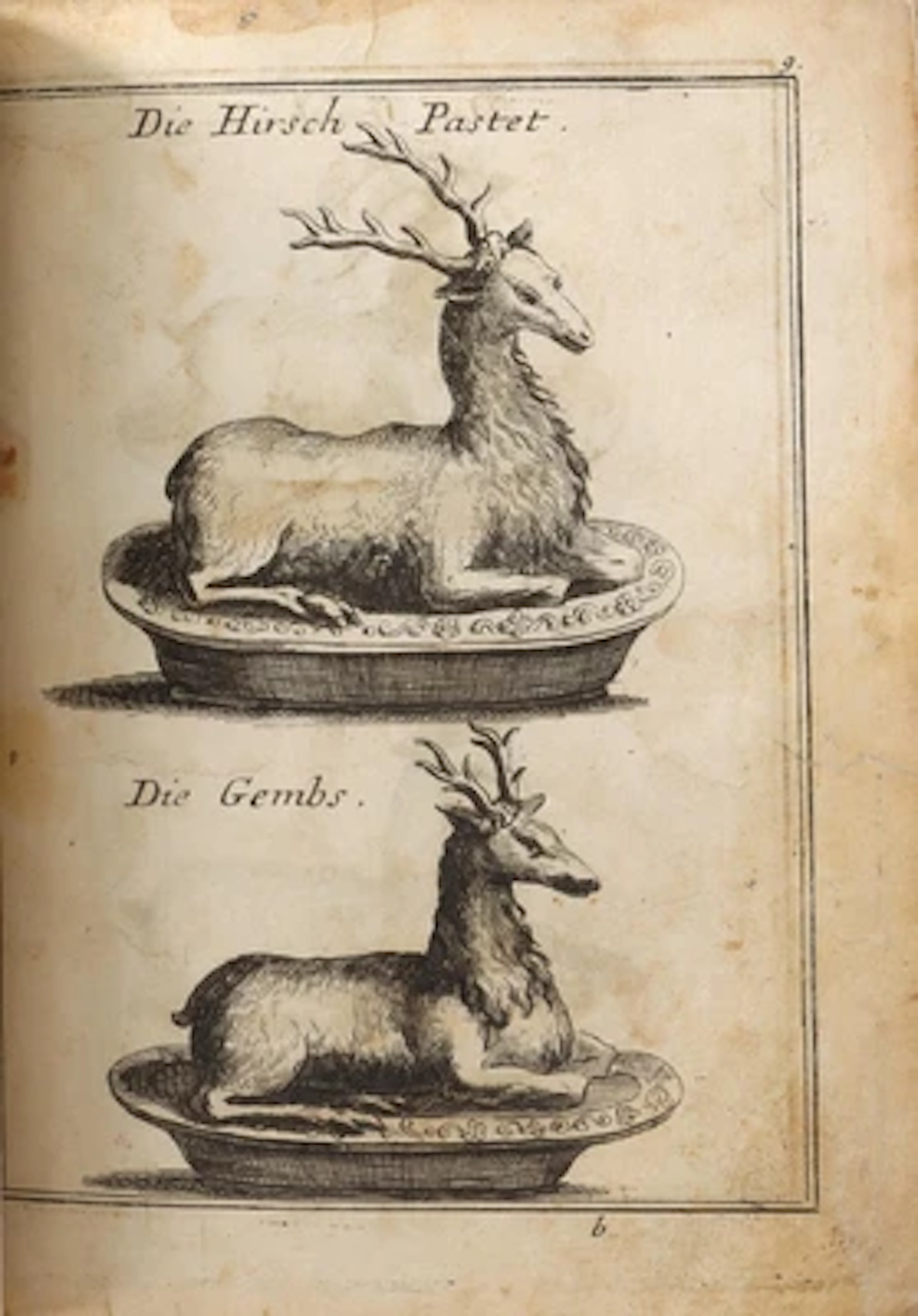 NEUES SALTZBURGISCHES KOCHBUCH.