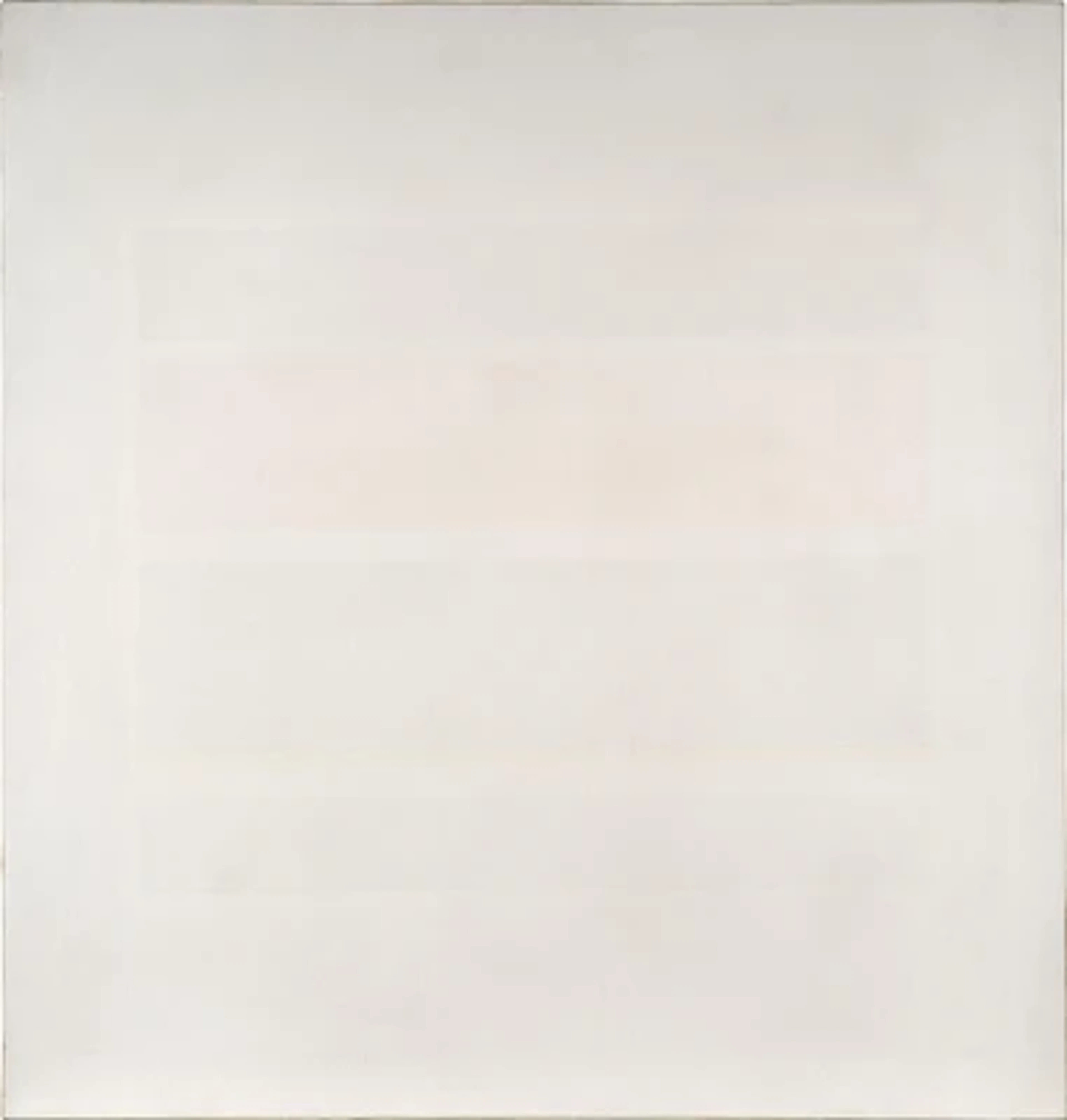 Riccardo Guarneri *