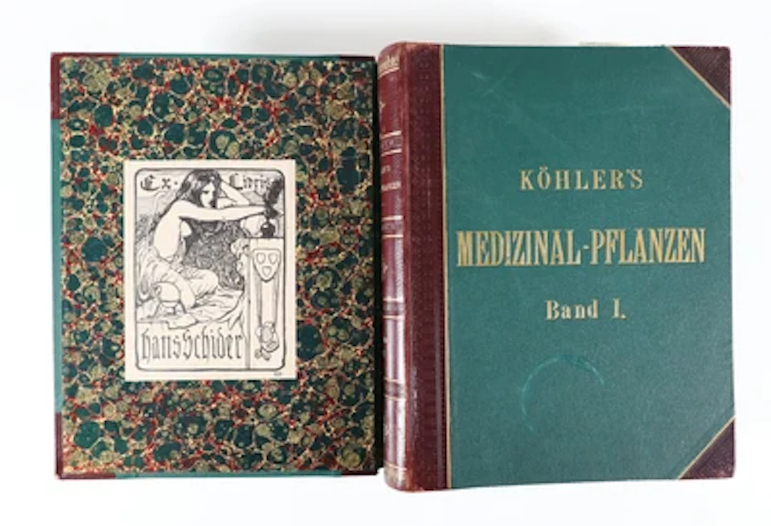 "Köhler's Medizinal-Pflanzen