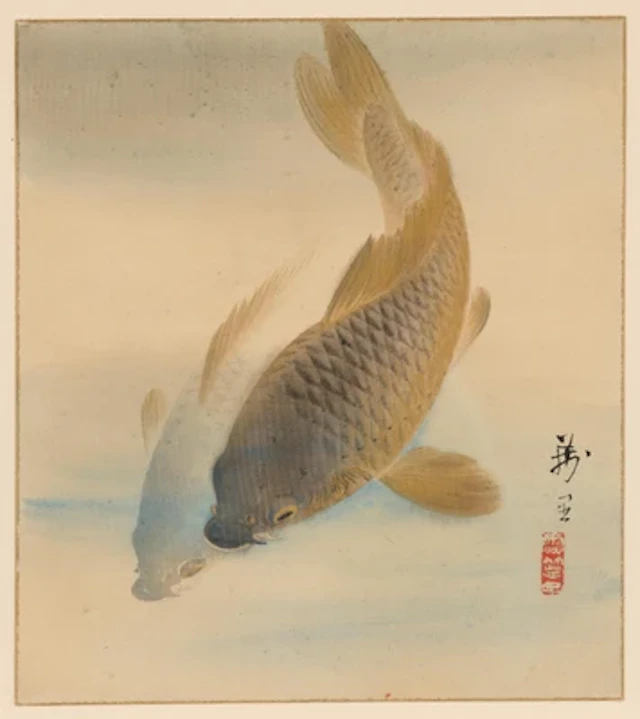 Japan, 19th Century, Two Carps, signed Manshi with red artist's seal