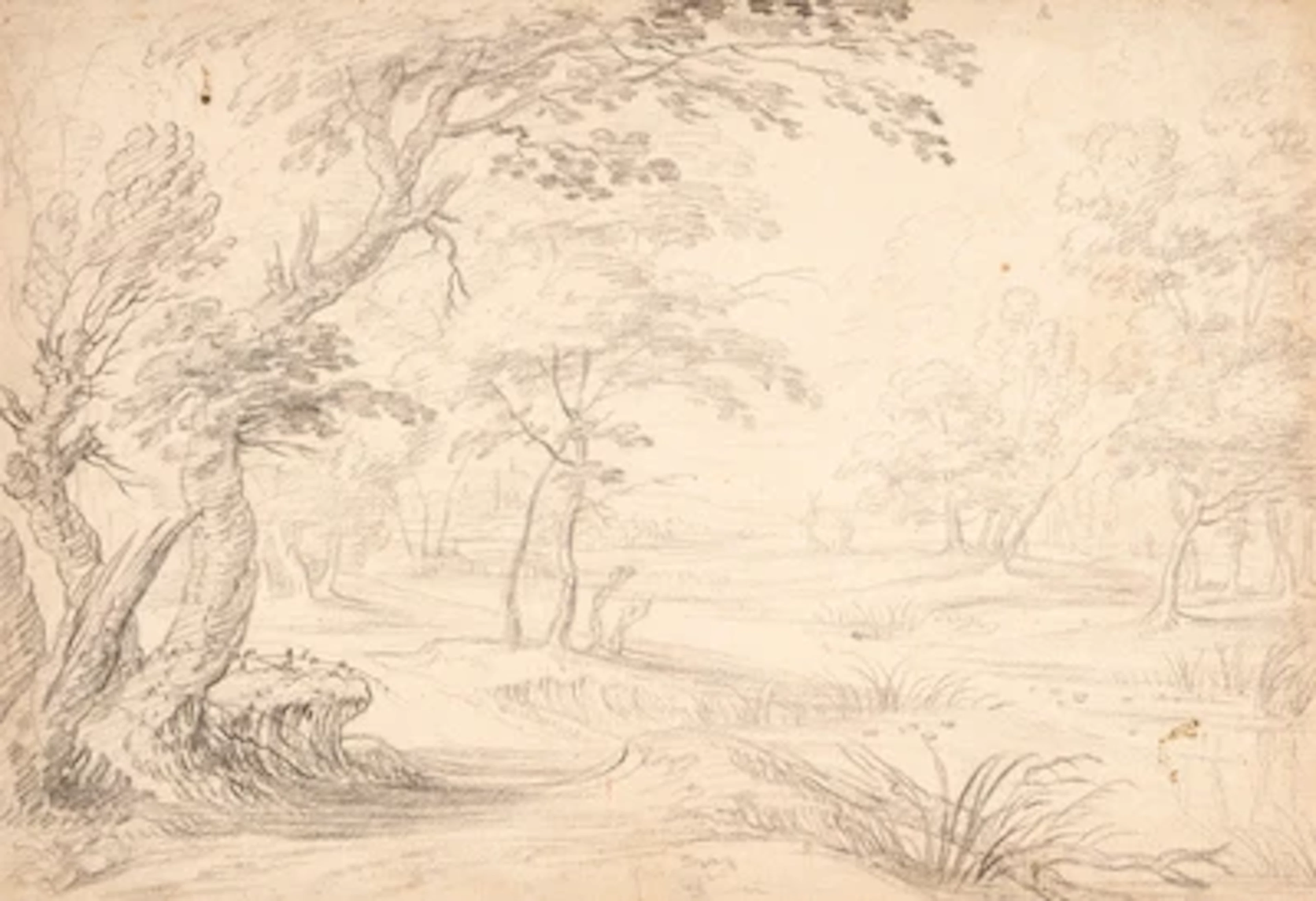 Jan Wildens
