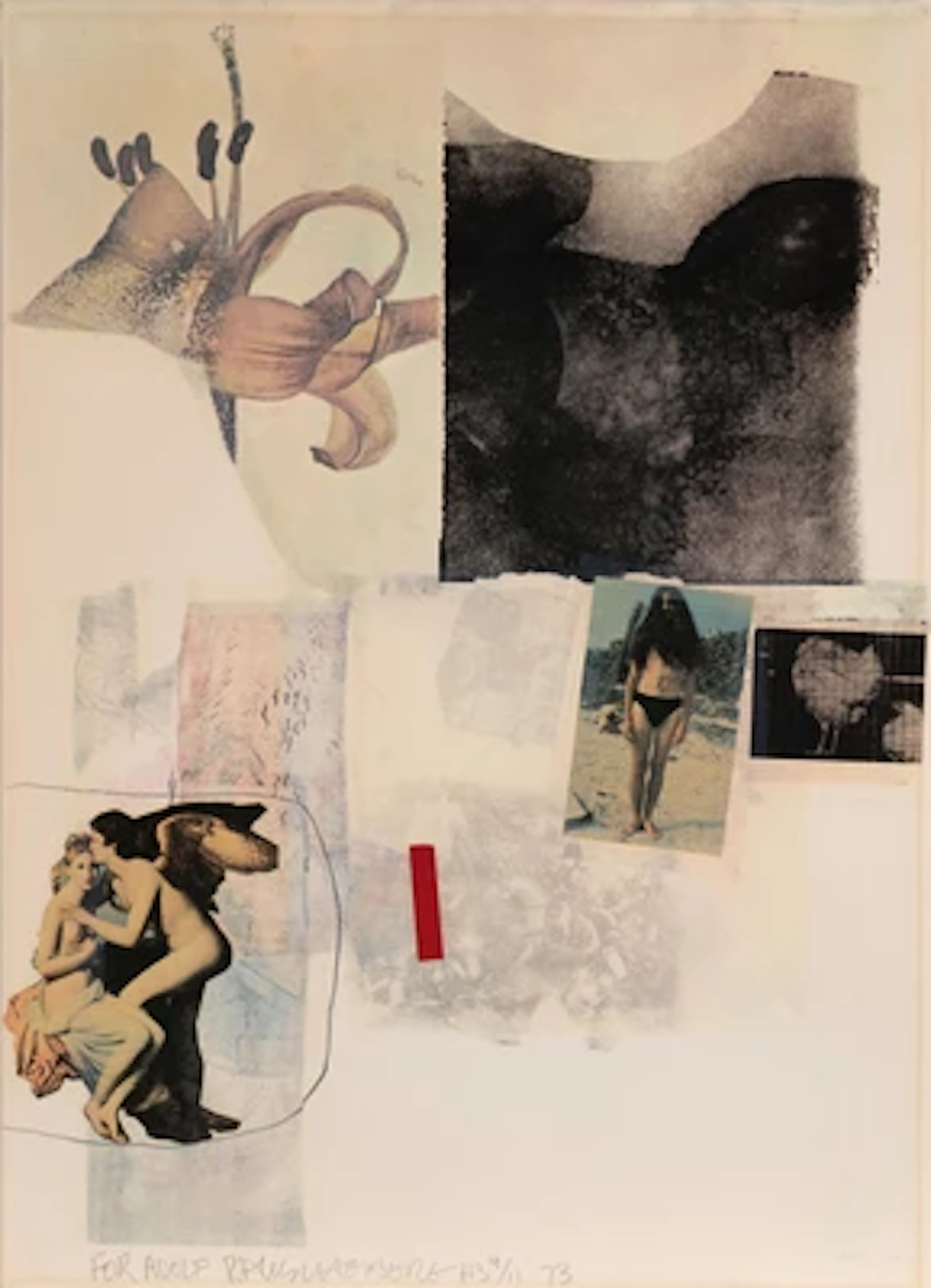 Robert Rauschenberg