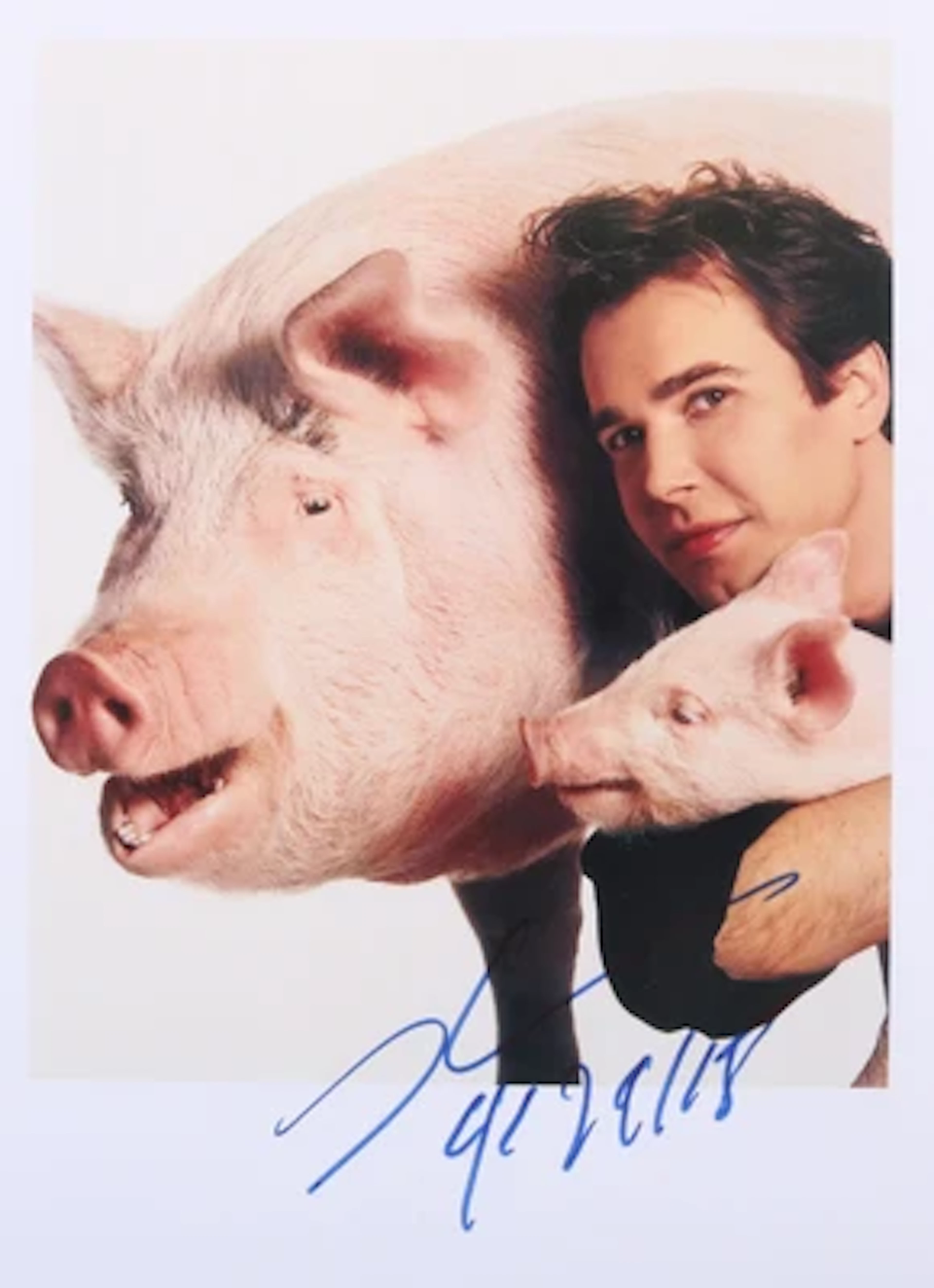 Jeff Koons