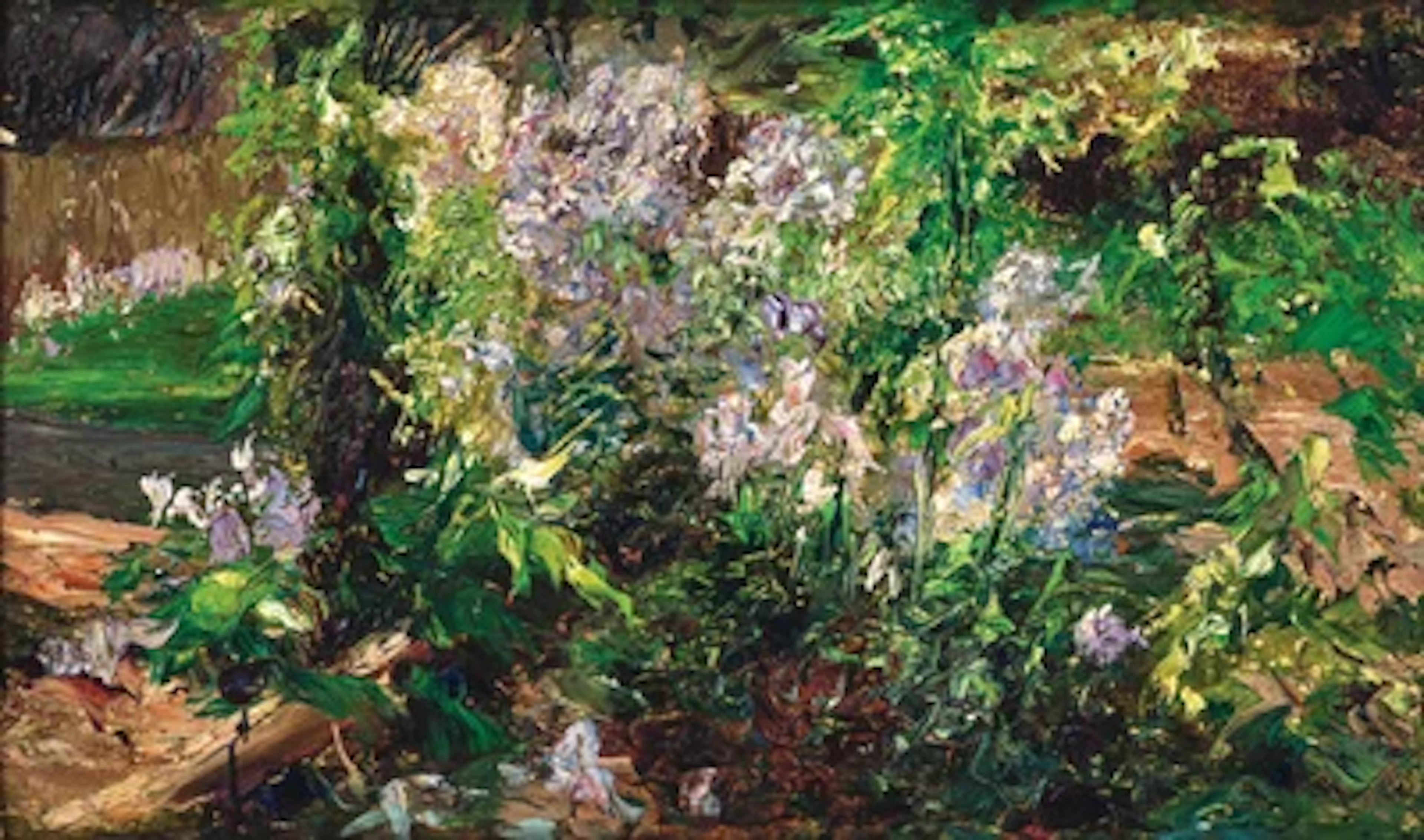 Olga Wisinger-Florian