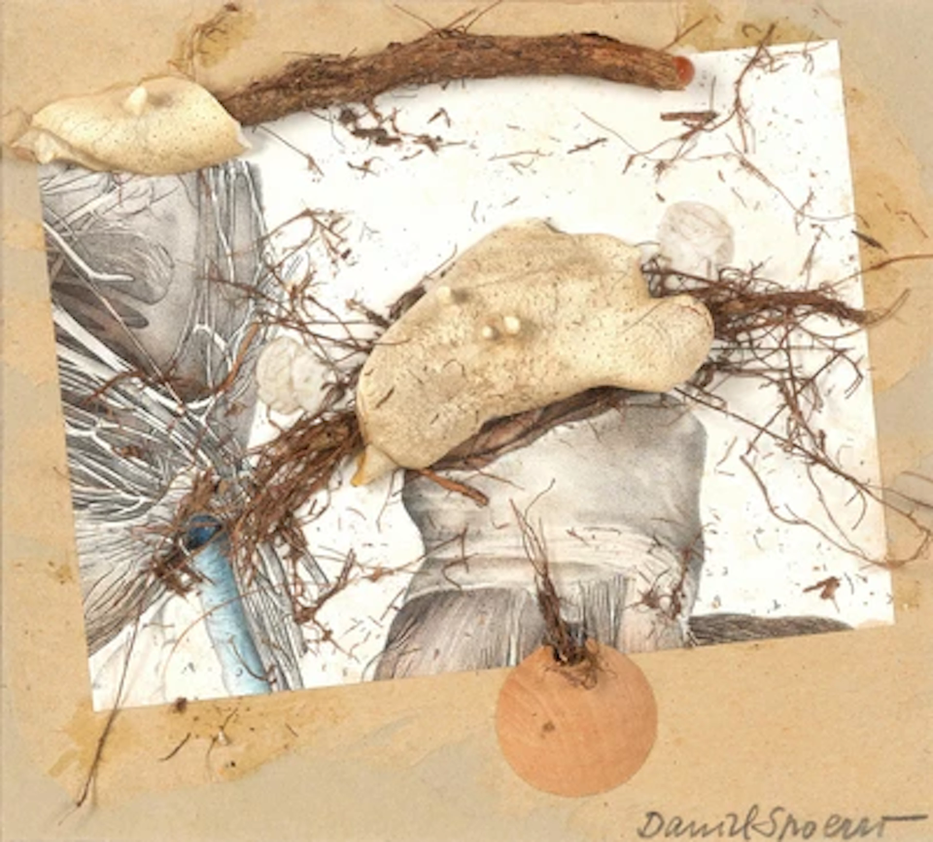 Daniel Spoerri *