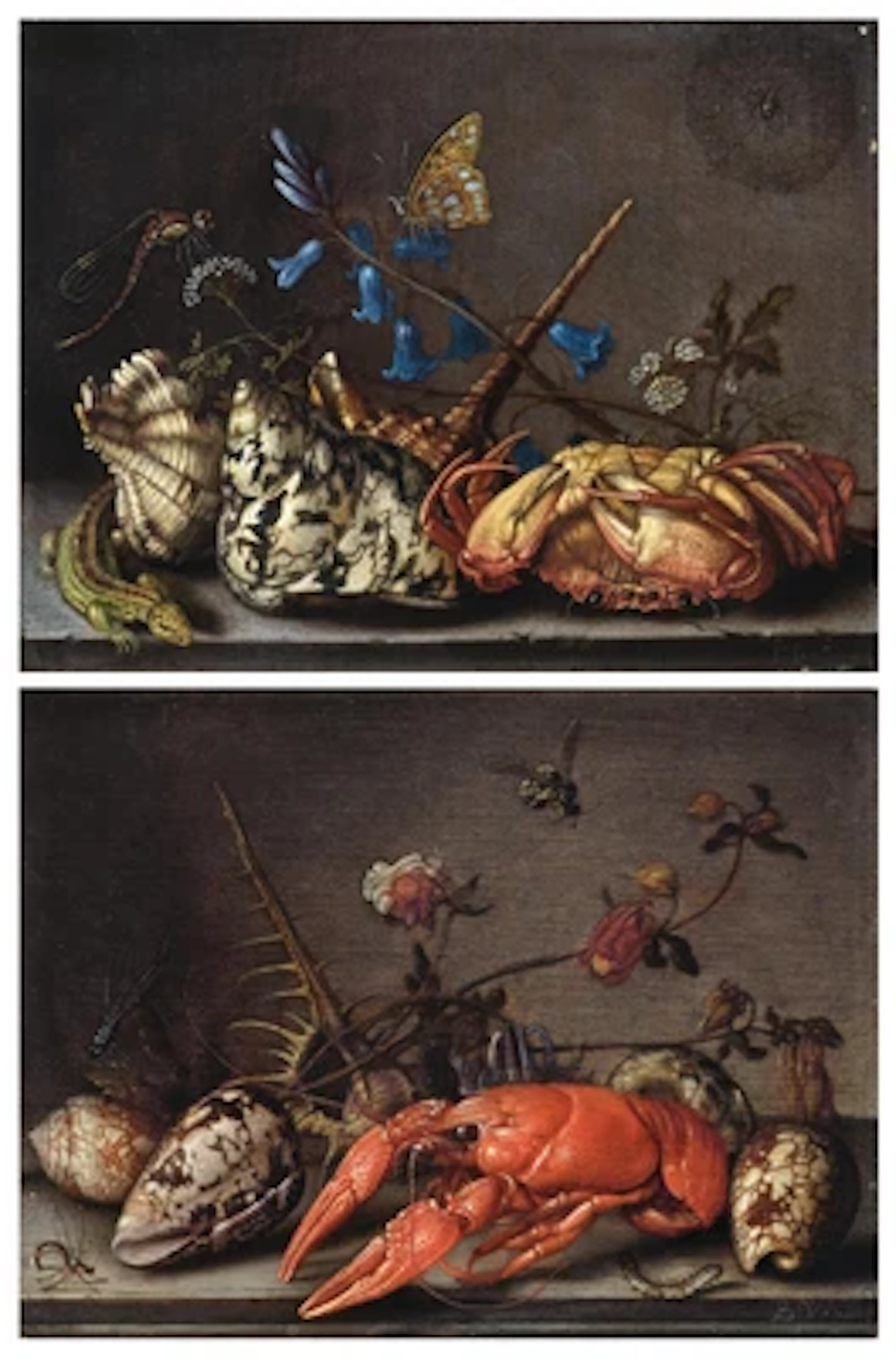 Balthasar van der Ast