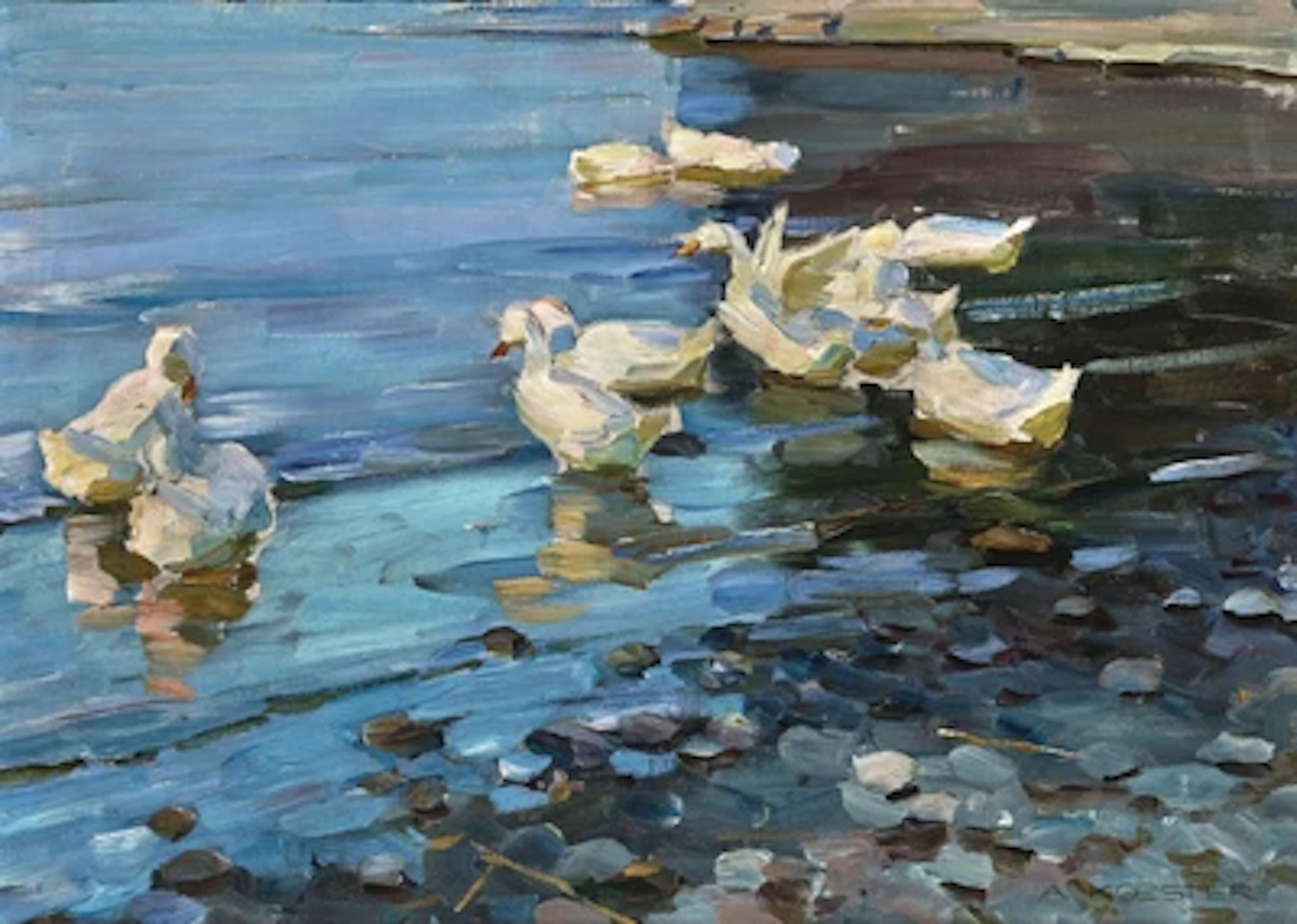 Alexander Koester