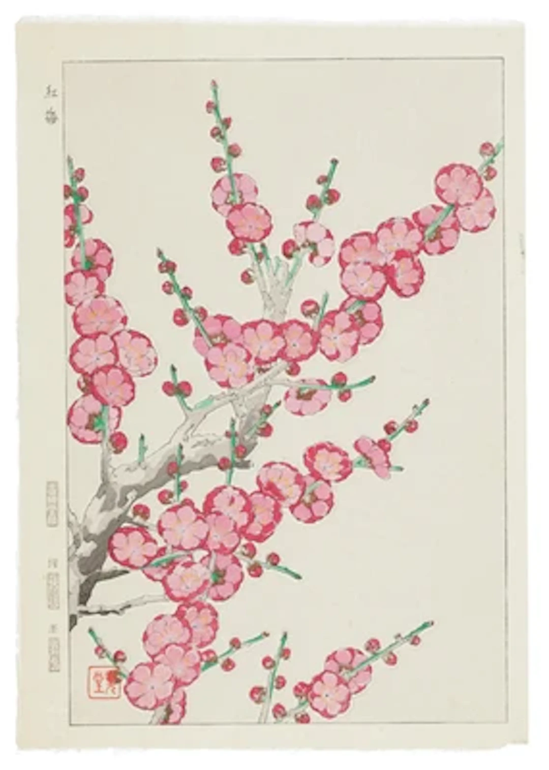 Kawarazaki Shodo (1889-1973) Twelve woodblock prints:"Ume" (Japanese Apricot)