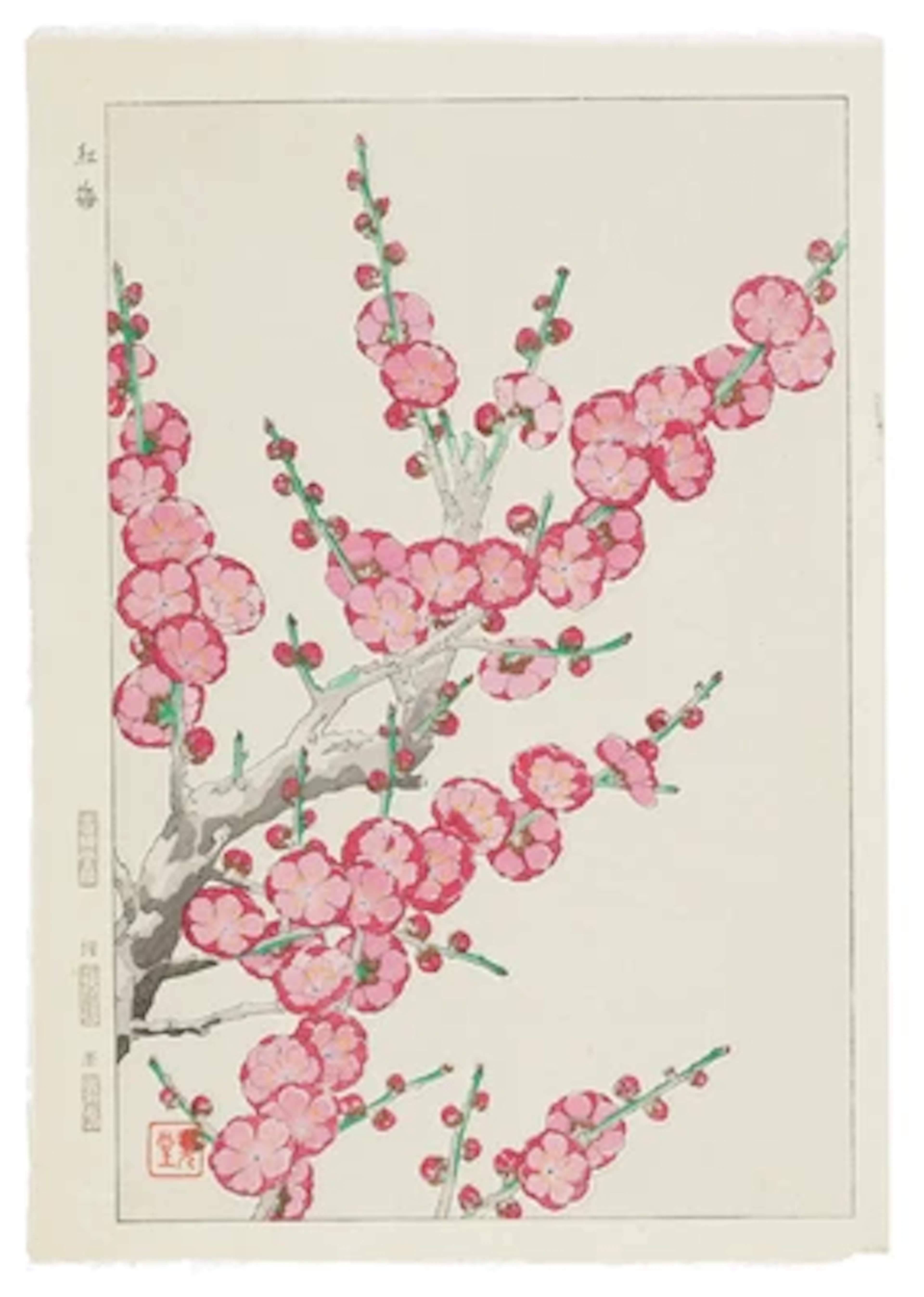 Kawarazaki Shodo (1889-1973) Twelve woodblock prints:"Ume" (Japanese Apricot)