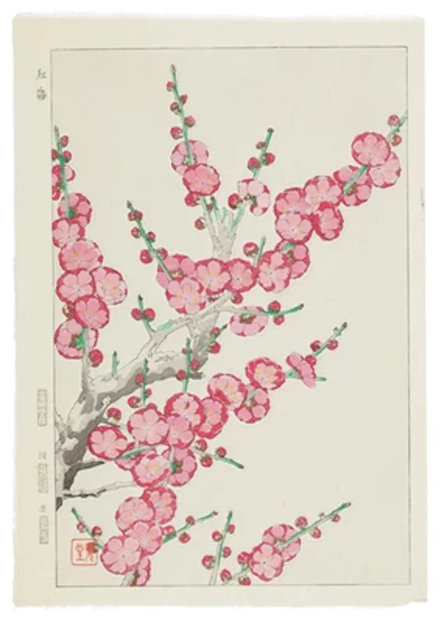 Kawarazaki Shodo (1889-1973) Twelve woodblock prints:"Ume" (Japanese Apricot)