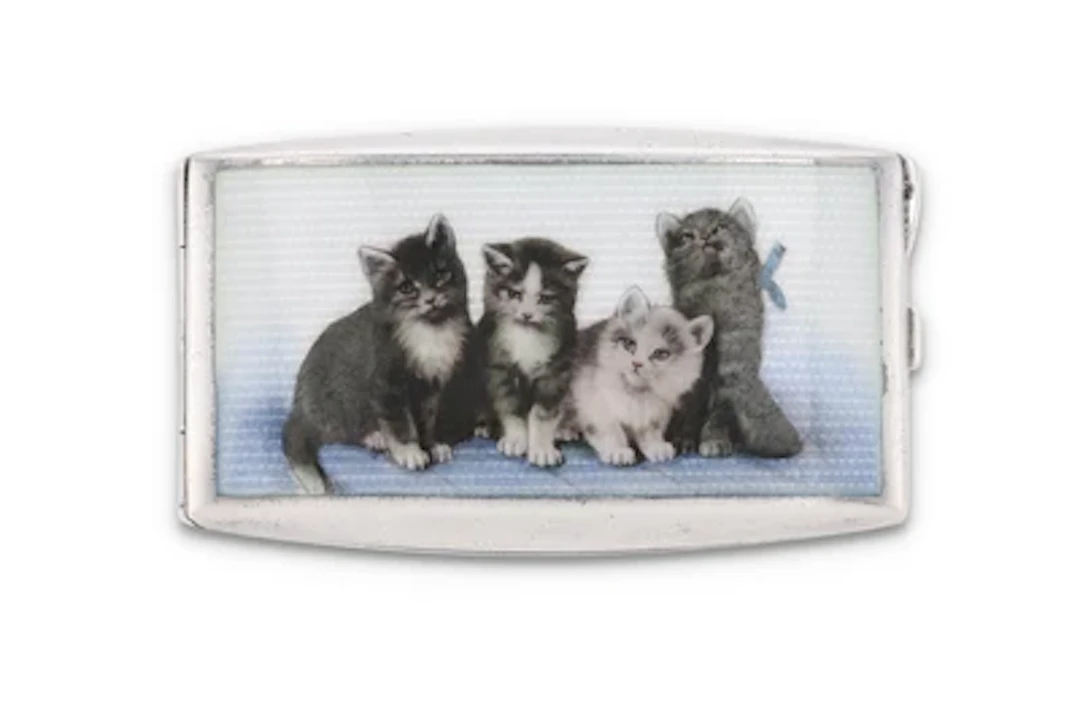 Tabatiere aus Silber mit farbig emailliertem Katzenmotiv, um 1900/20