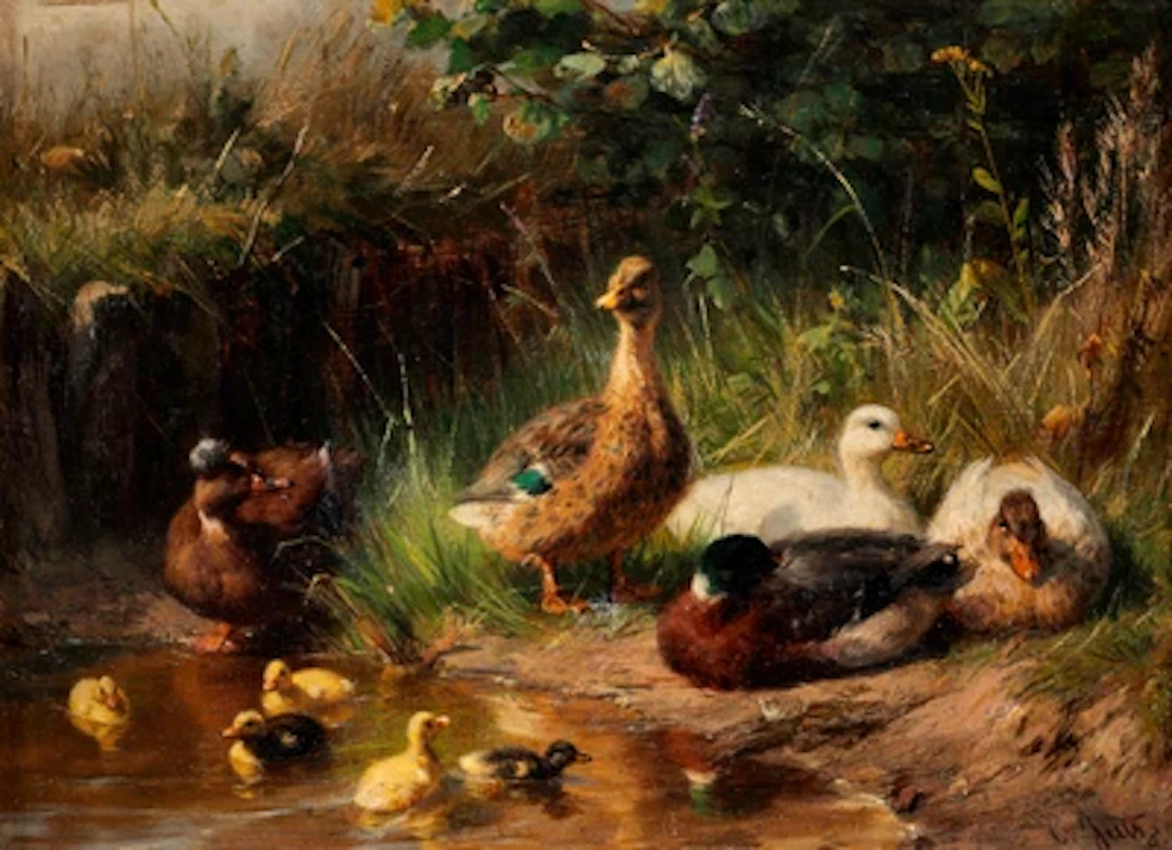 Carl Jutz
