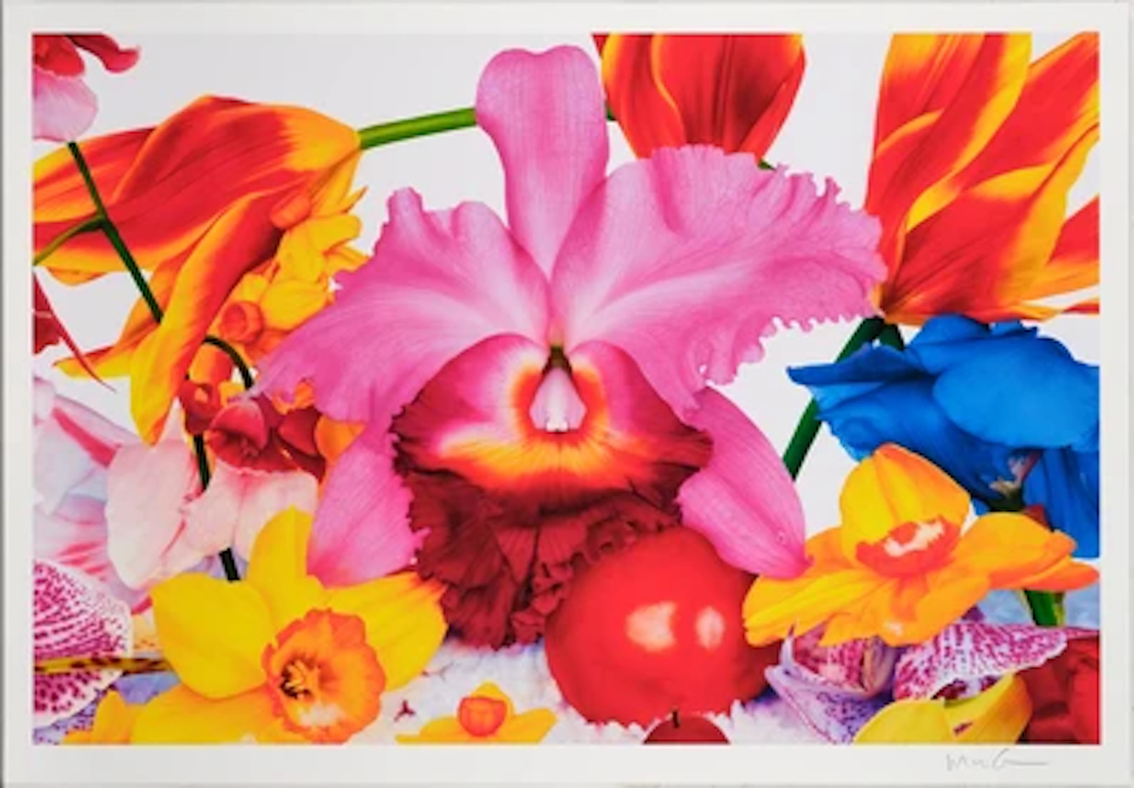Marc Quinn *