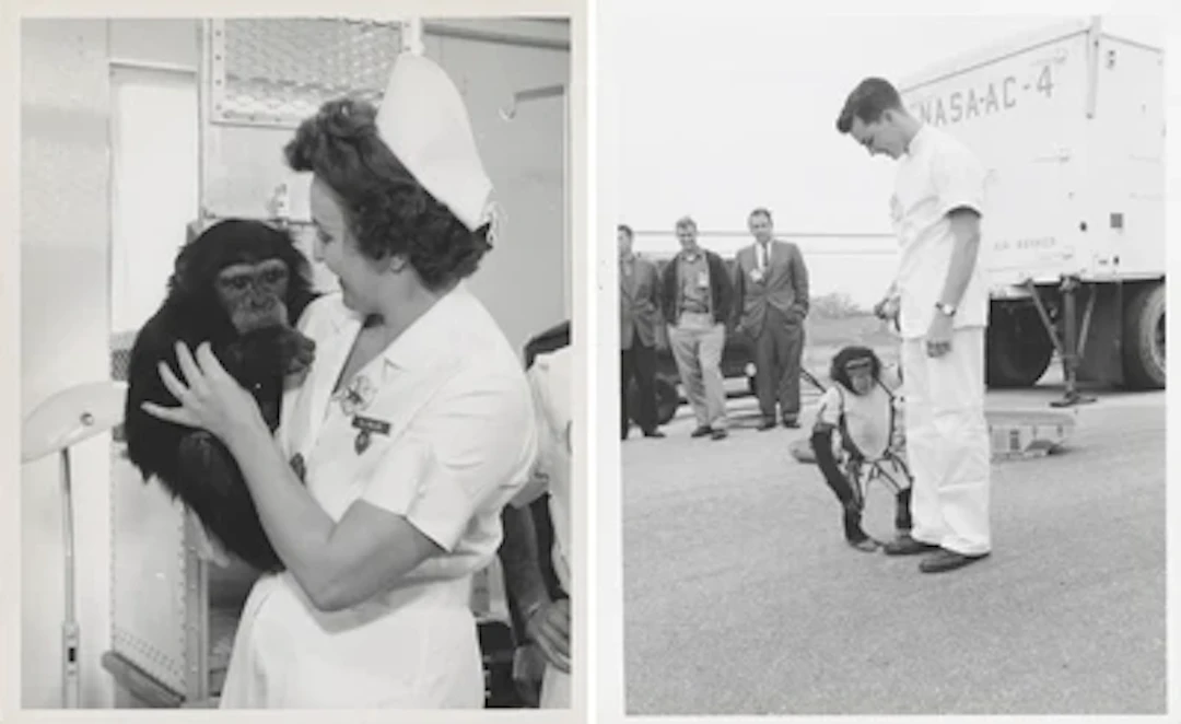 MERCURY REDSTONE 2 - HAM On Launch Day: The First Chimpanzee in Space