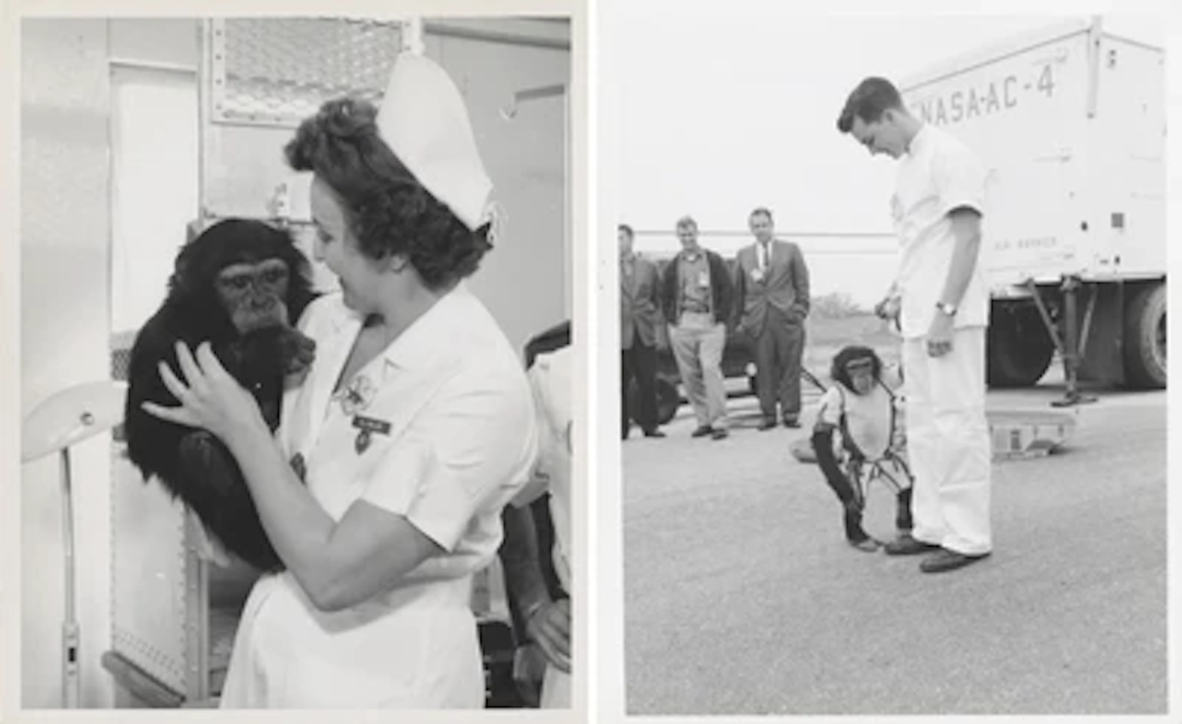 MERCURY REDSTONE 2 - HAM On Launch Day: The First Chimpanzee in Space