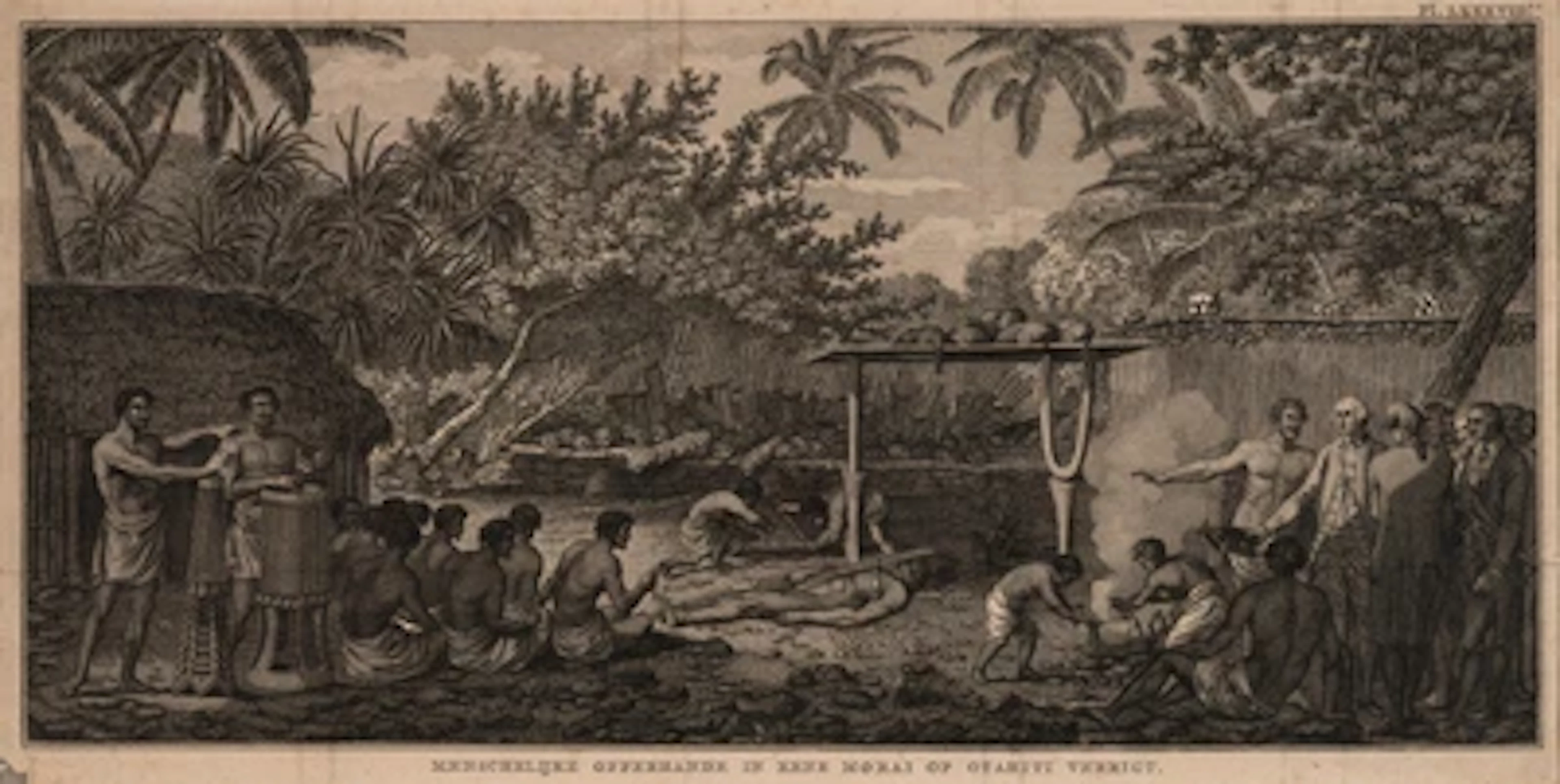 JAMES COOK: NEU-KALEDONIEN, TANNA, NEUSEELAND, TAHITI.