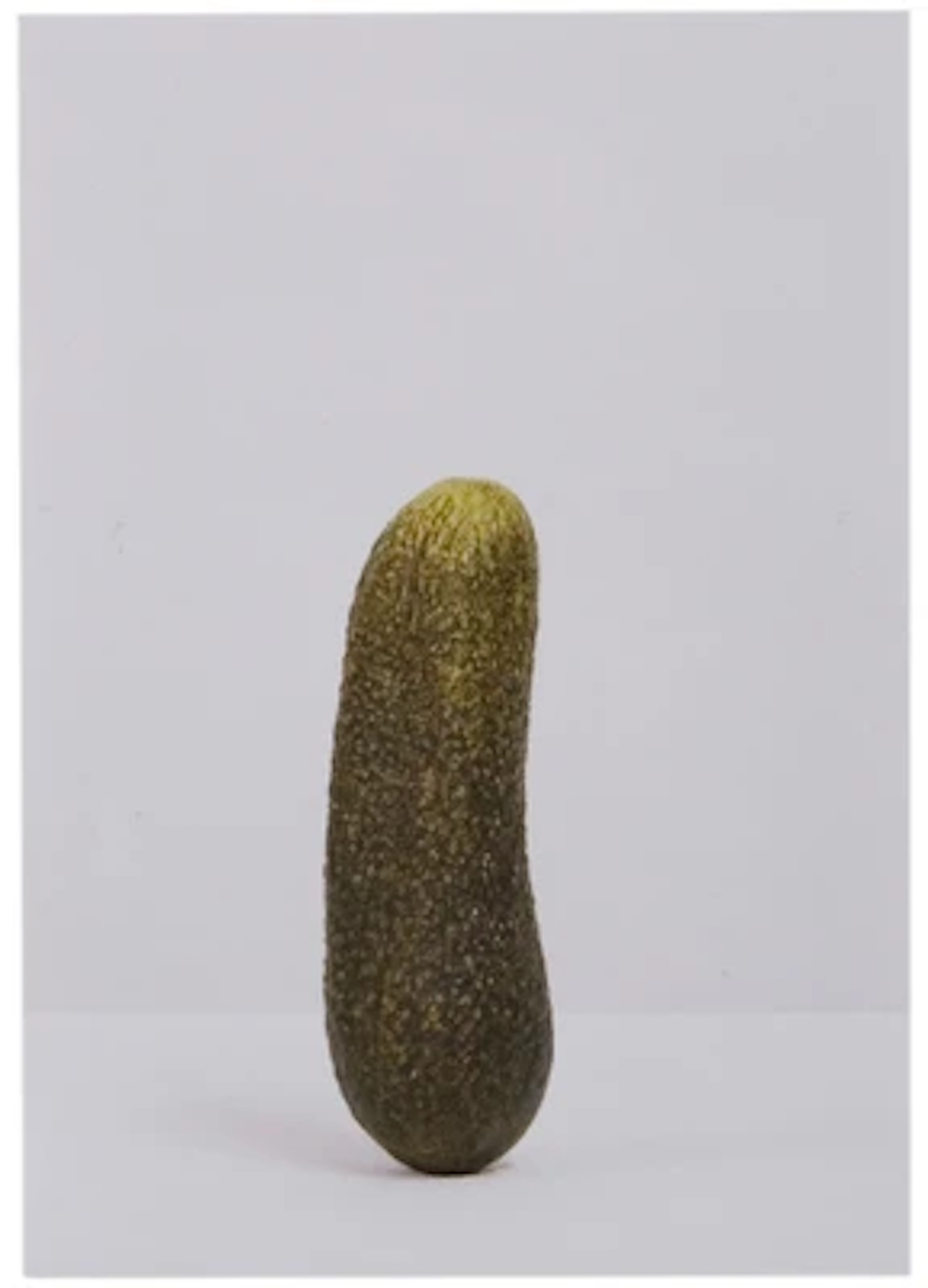Erwin Wurm *