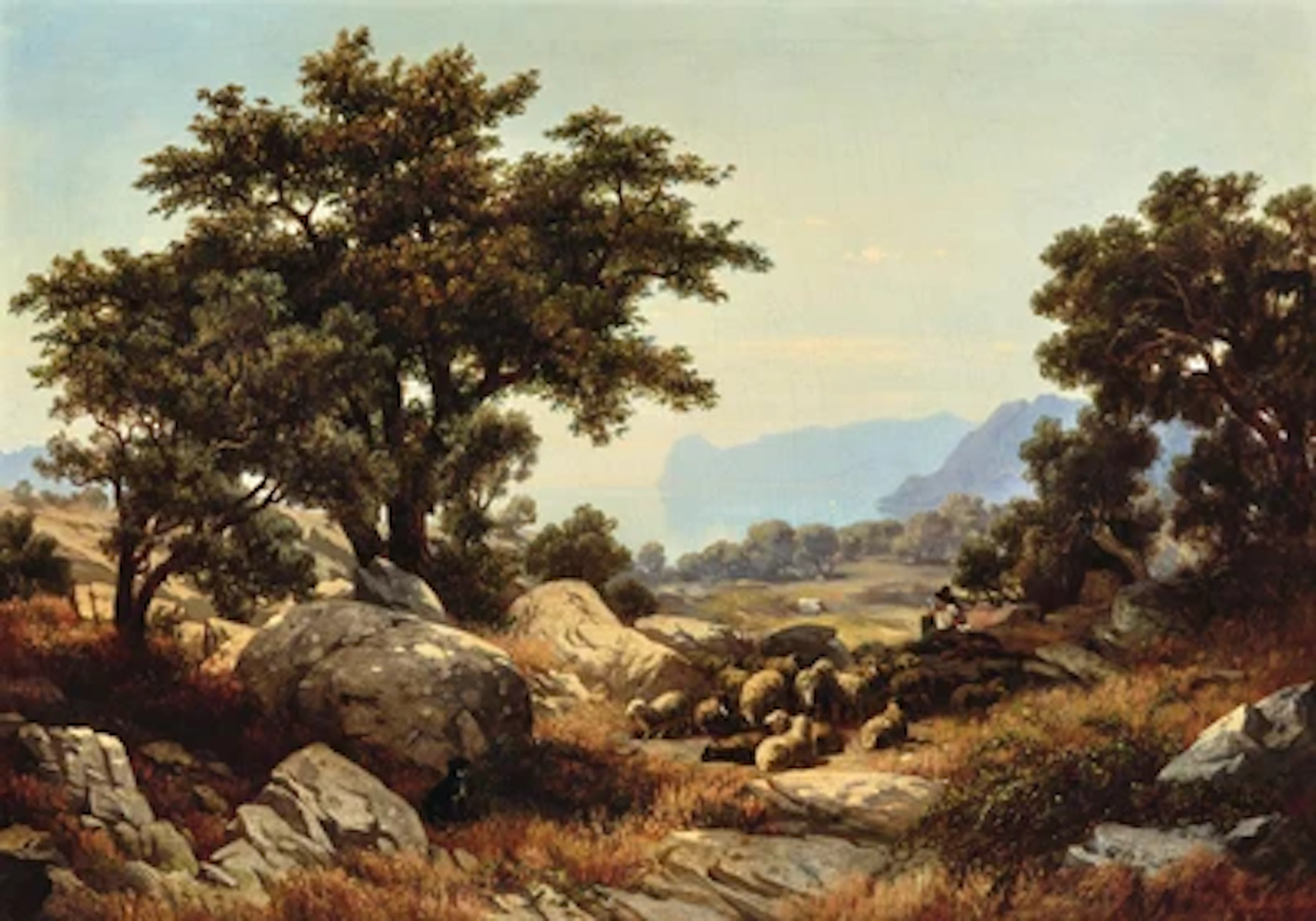 Johann Novopacky