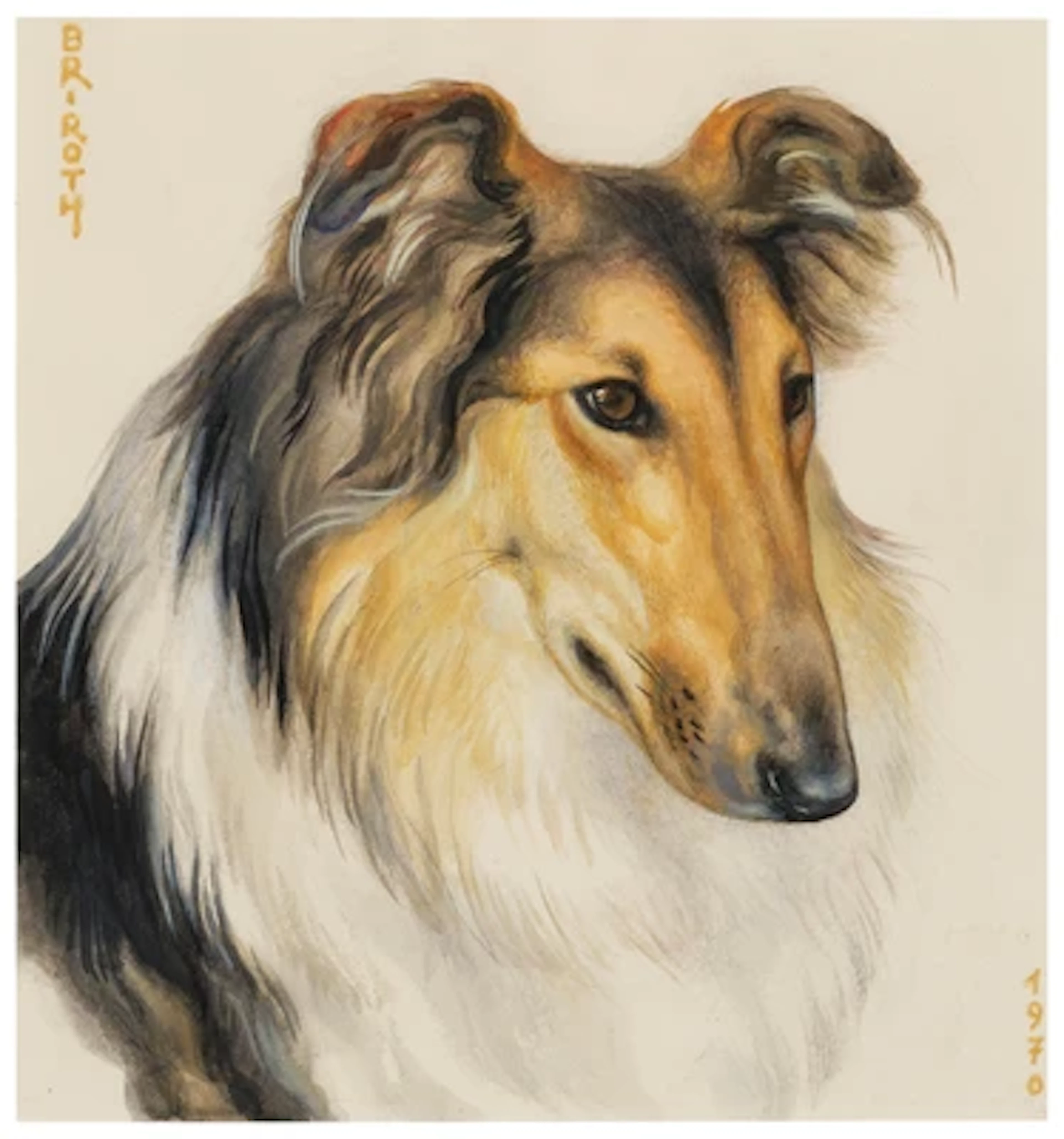 Norbertine Bresslern-Roth *