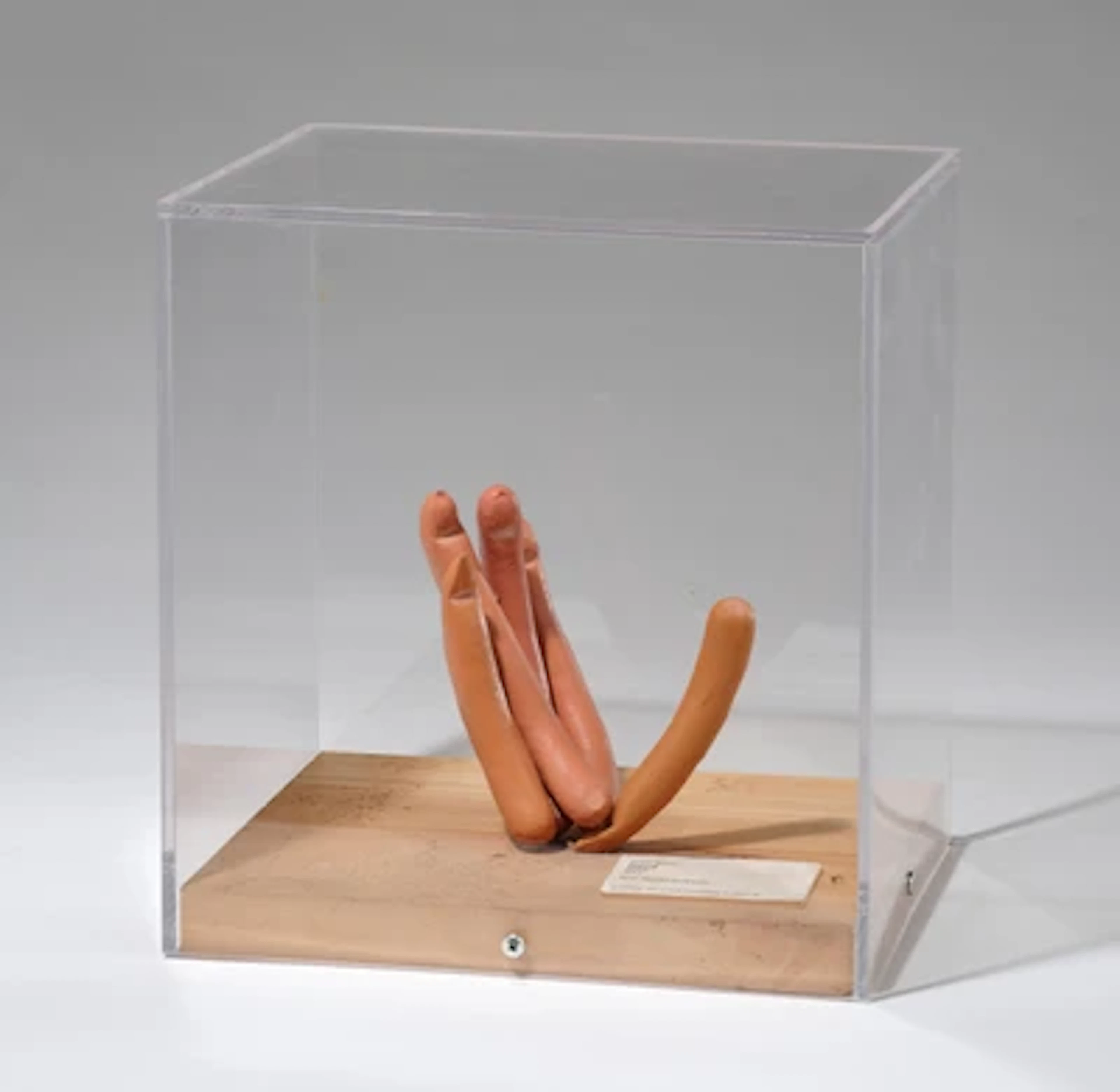Erwin Wurm *